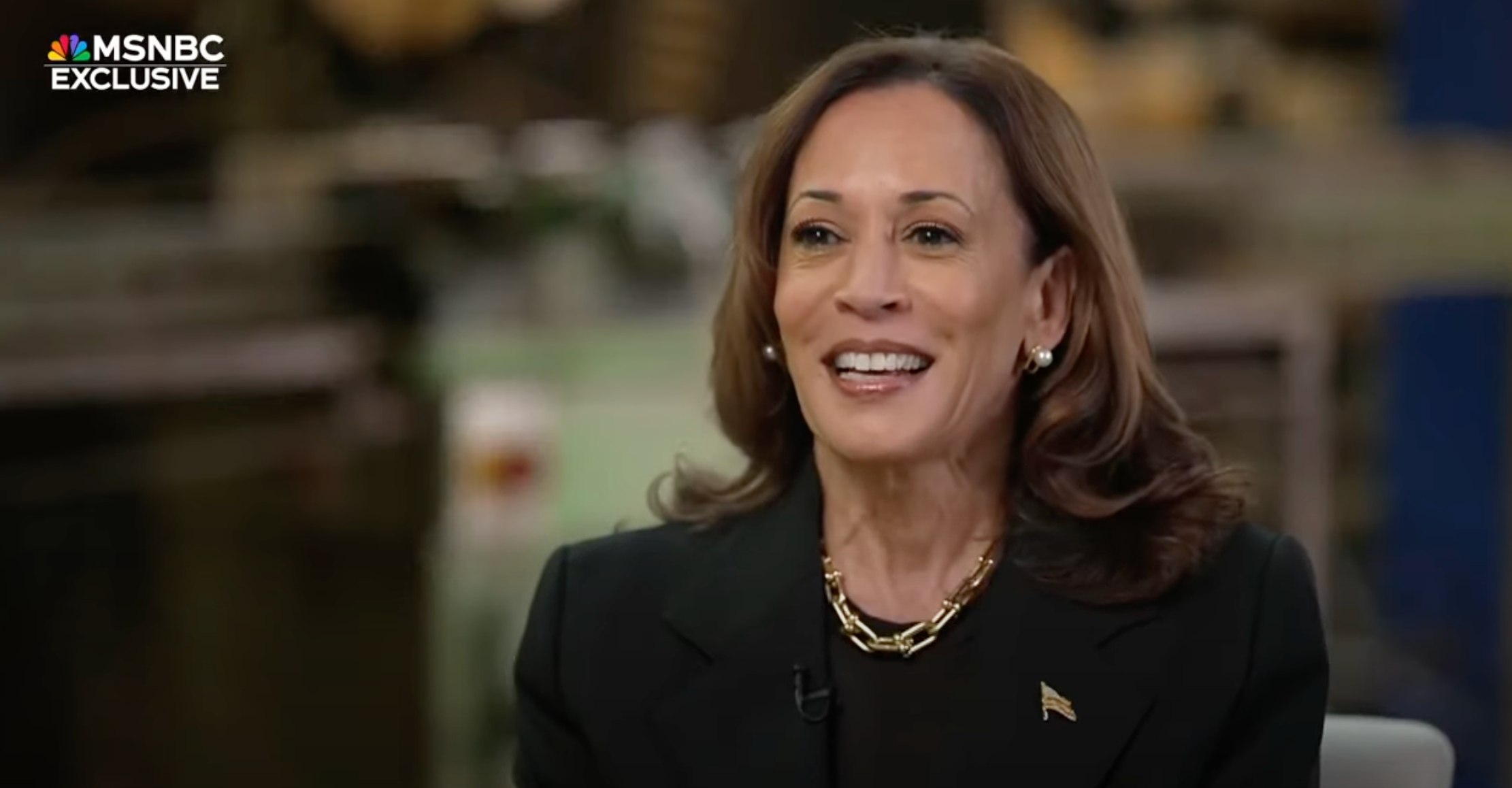 Kamala Harris met with MSNBC host Stephanie Ruhle for a one-on-one interview on Wednesday evening