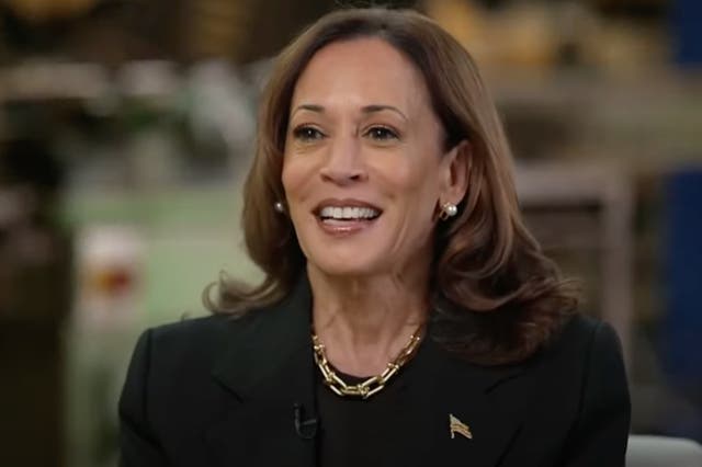 <p>Kamala Harris said that she ‘did the fries’ during her McDonald’s summer job </p>