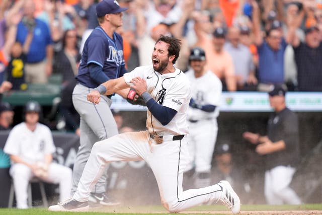 RAYS TIGRES