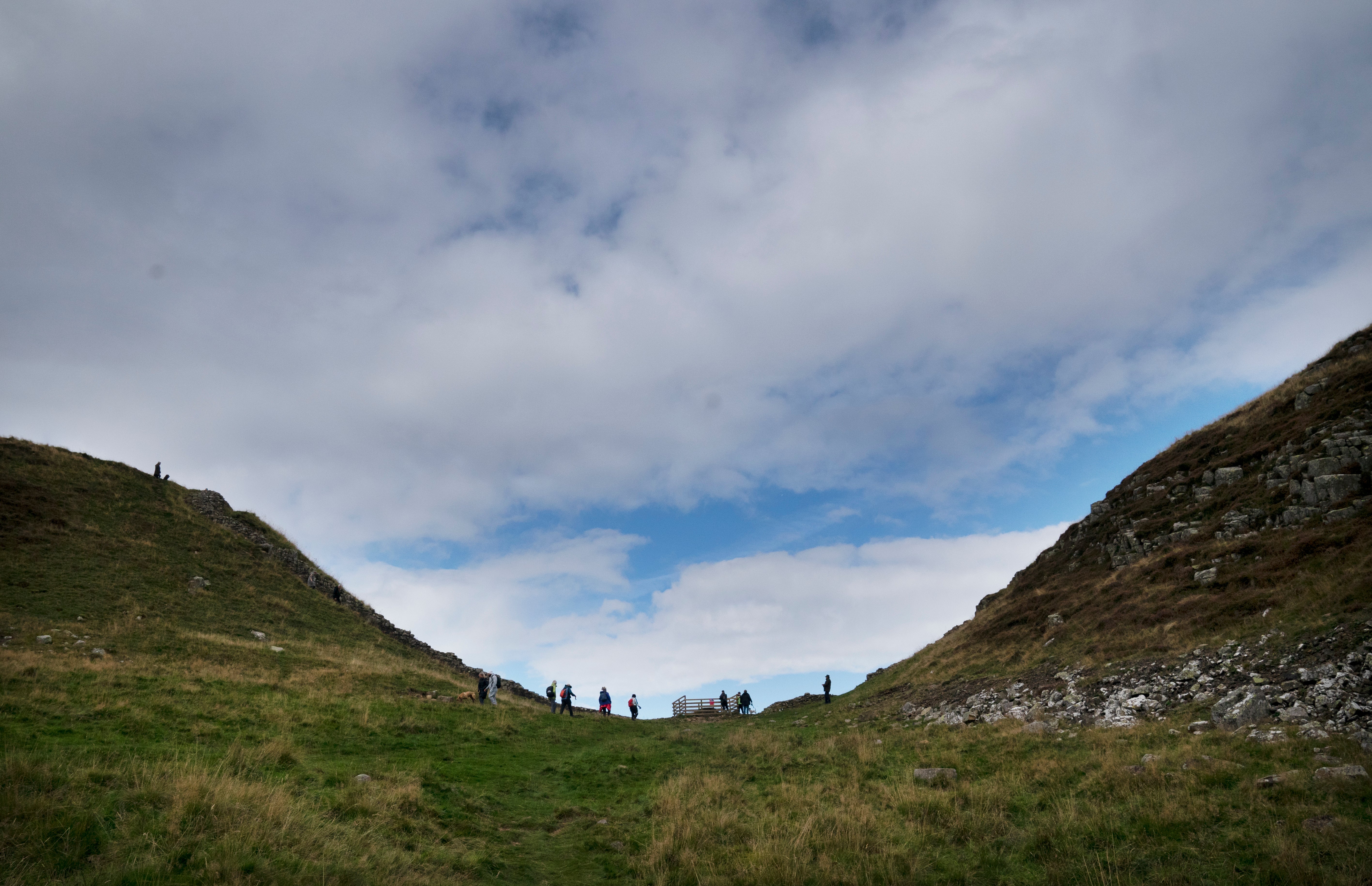 It’s a year since the Sycamore Gap tree was illegally chopped down