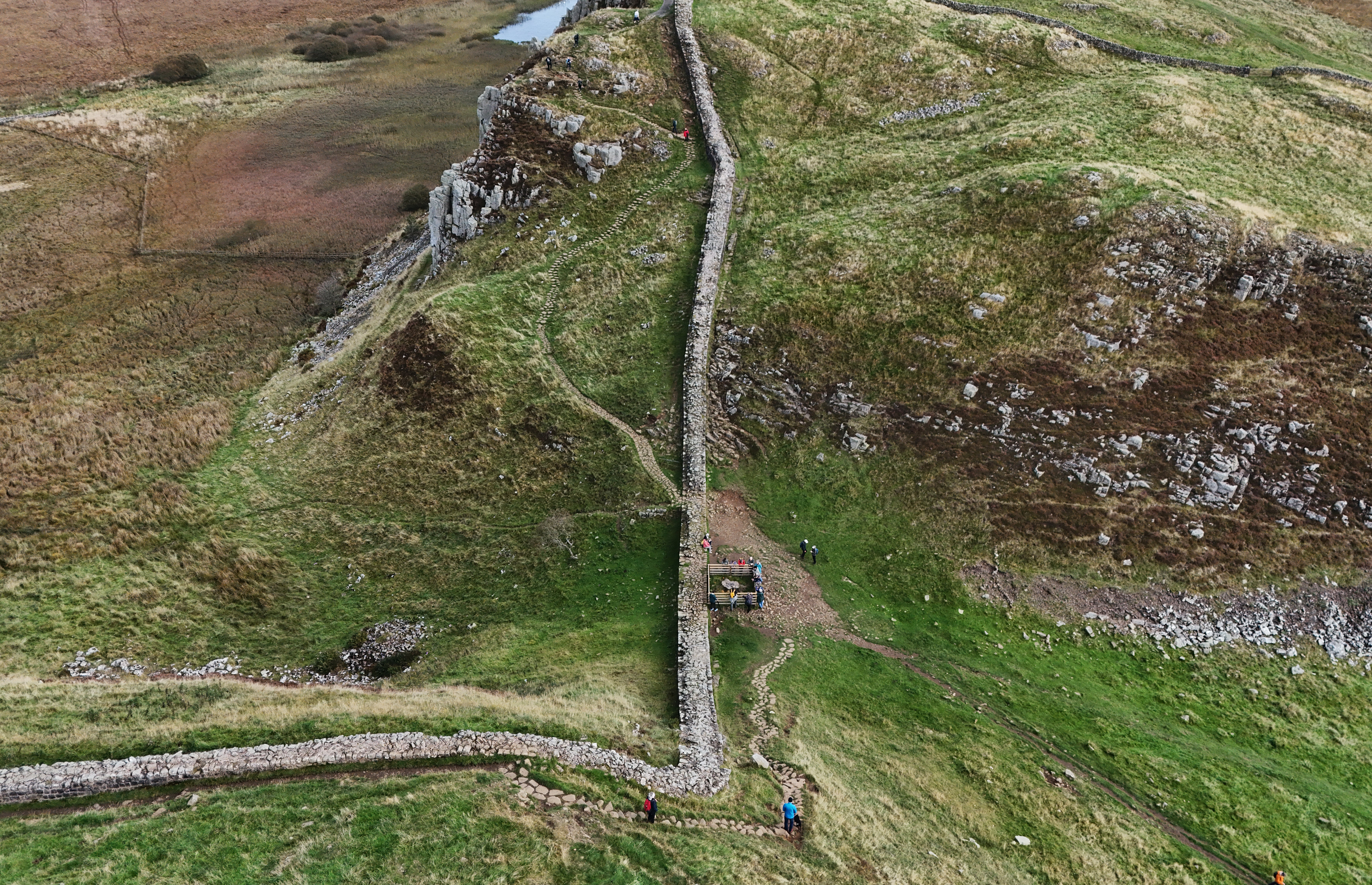 The Sycamore Gap tree was planted as a landscape feature in a dell on Hadrian’s Wall 150 years ago