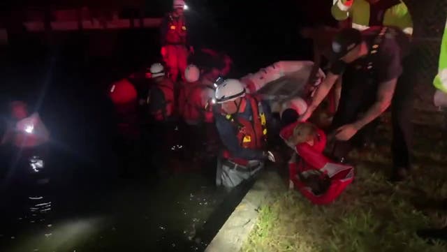 <p>Child and dog rescued from flood as Hurricane Helene devastates Florida.</p>