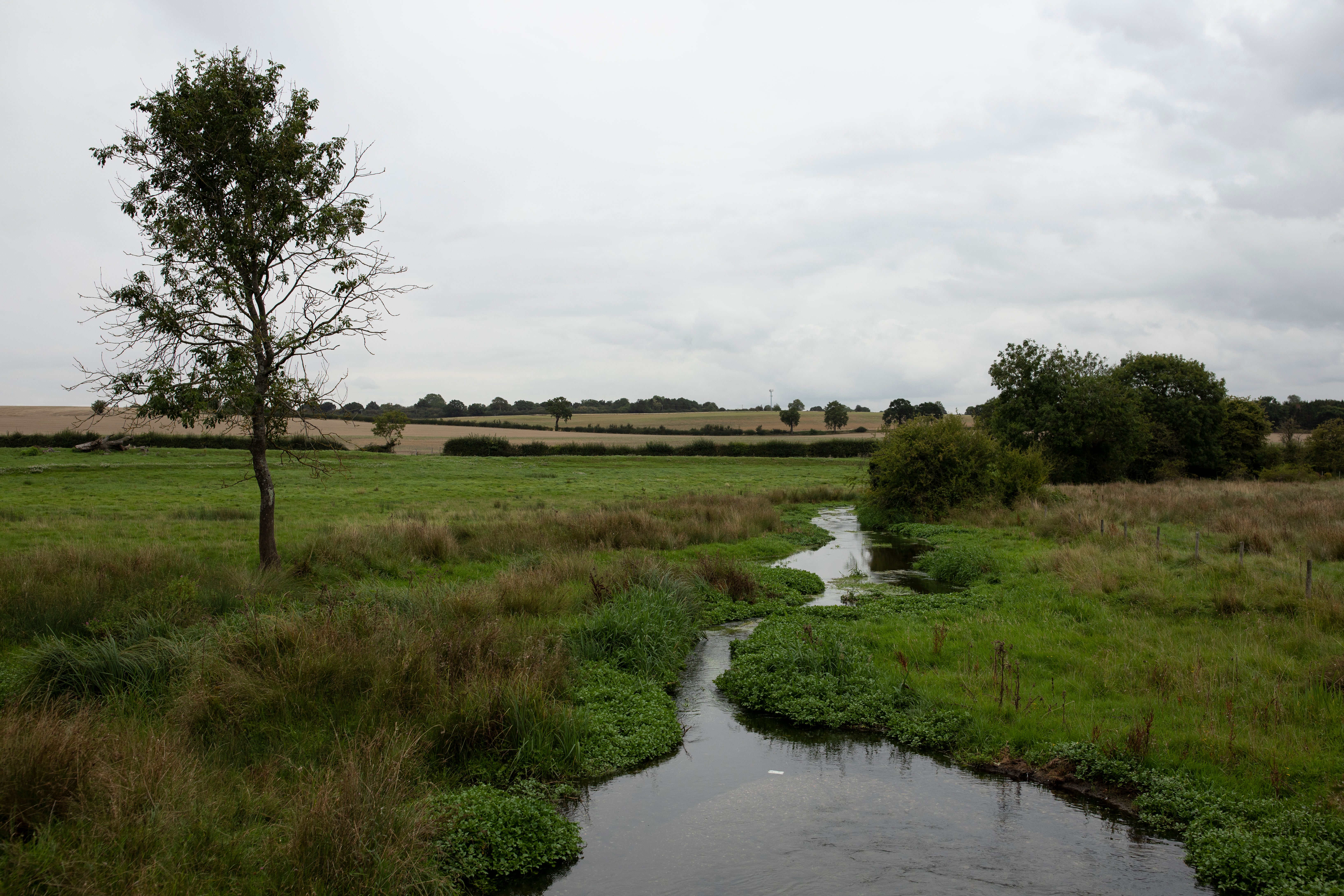 The River Ver is one of England’s rare chalk streams