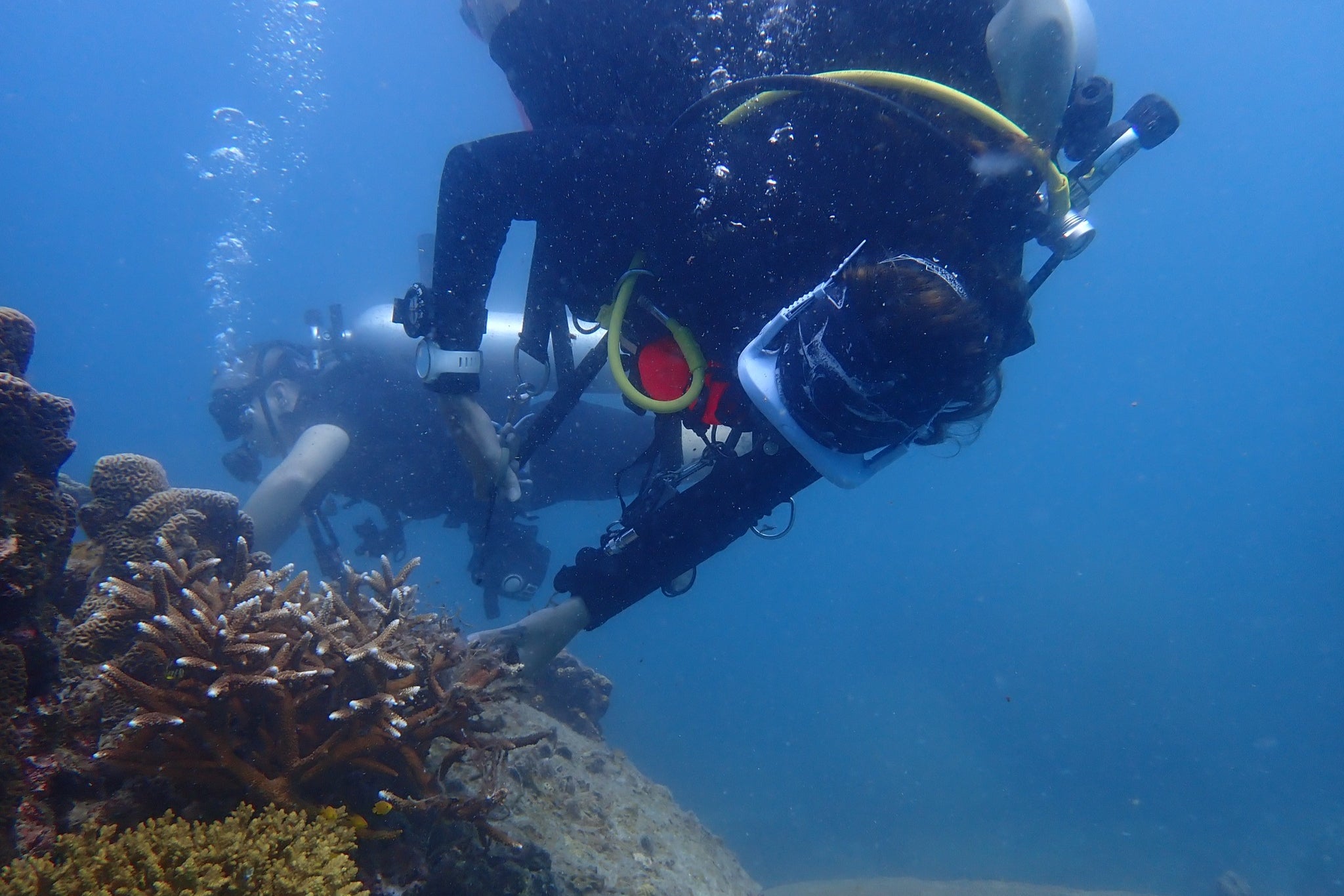 Daily formation  cleans are undertaken each   time  arsenic  portion  of eco-tourism targets