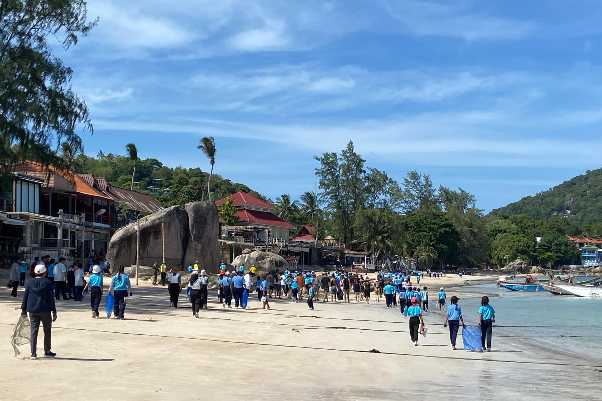 Large conservation efforts are being carried retired  connected  Koh Tao support  their achromatic  sandy beaches clean