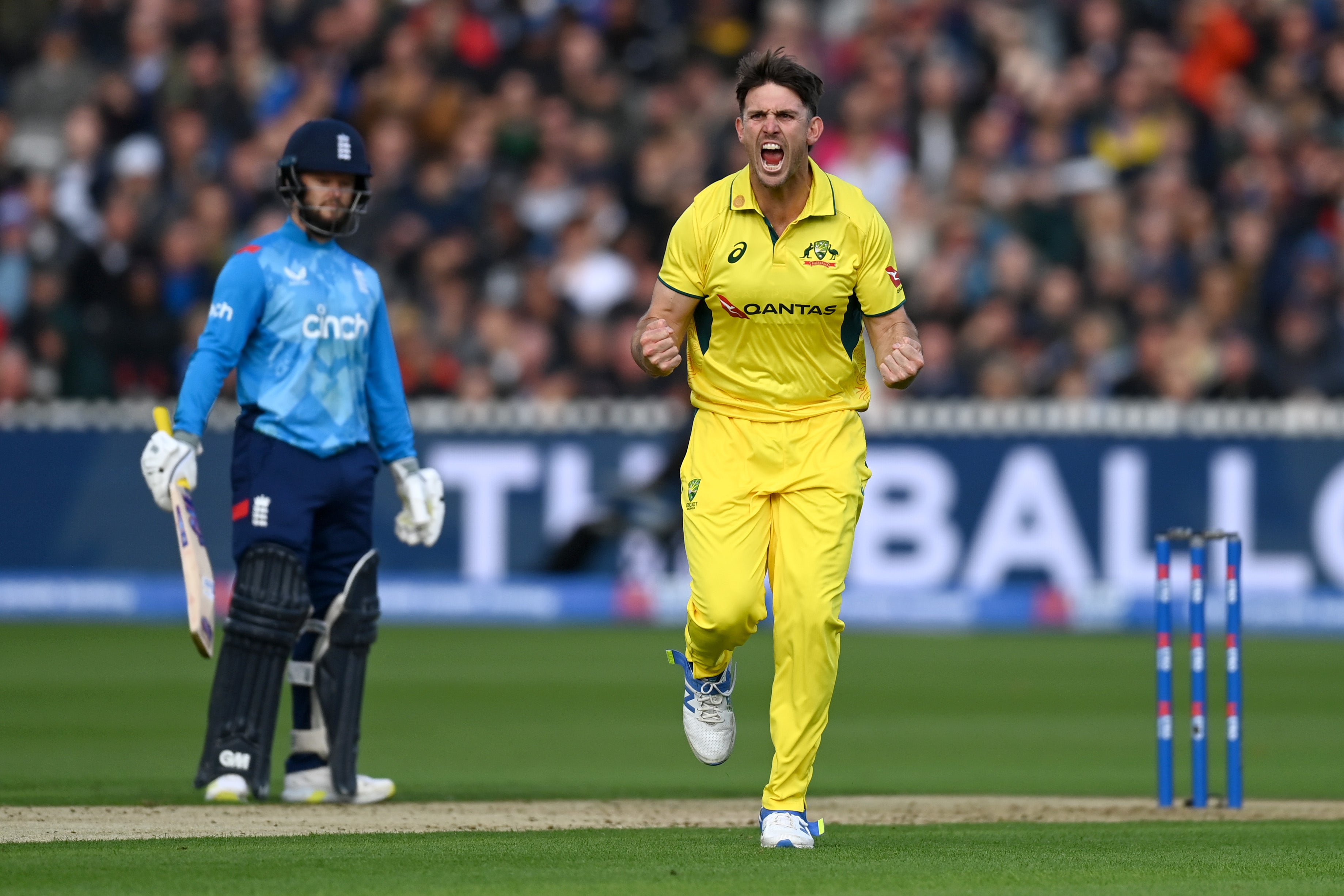 Mitchell Marsh celebrates after picking off Will Jacks