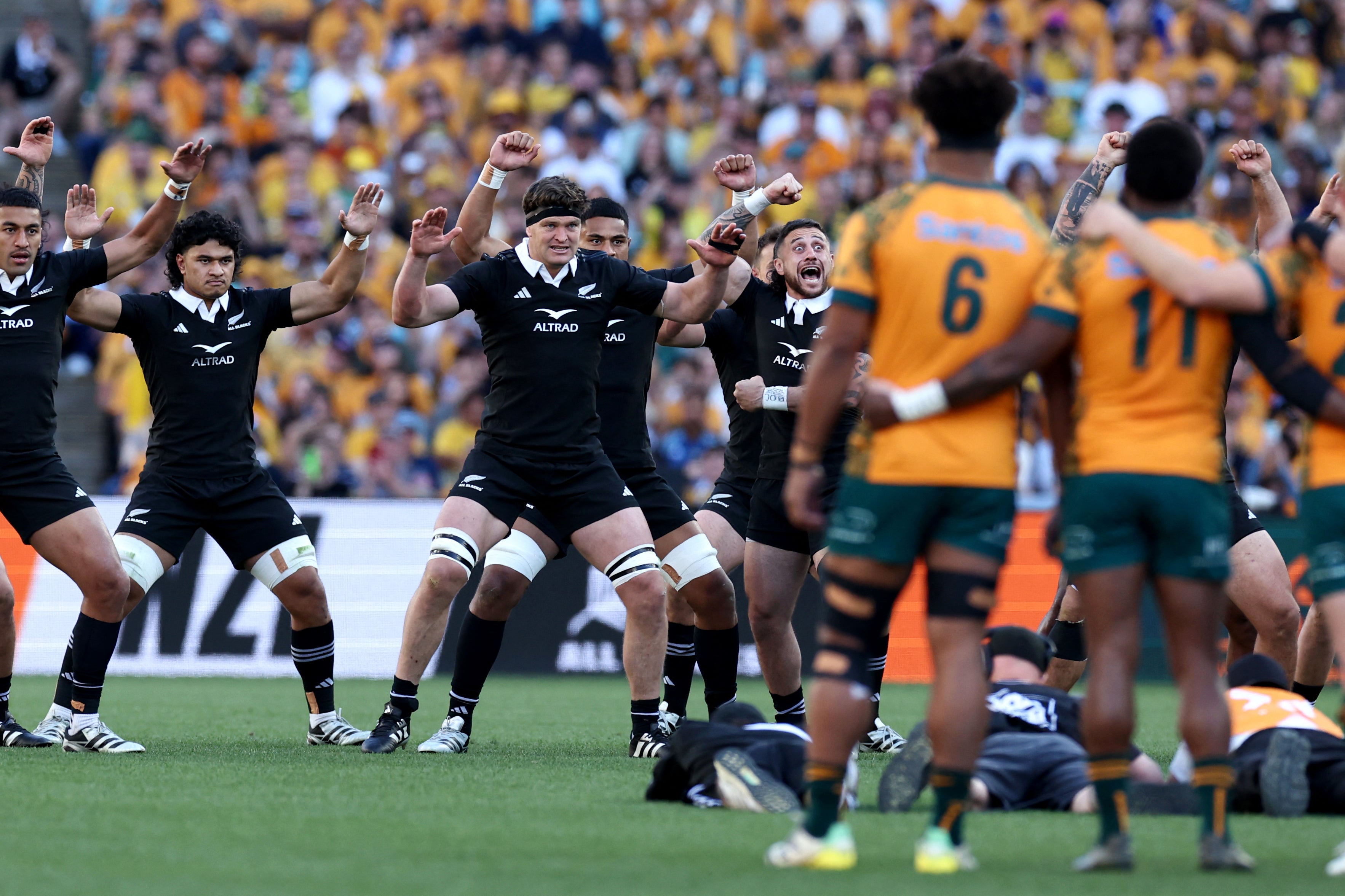 The All Blacks face off against Australia in the Rugby Championship