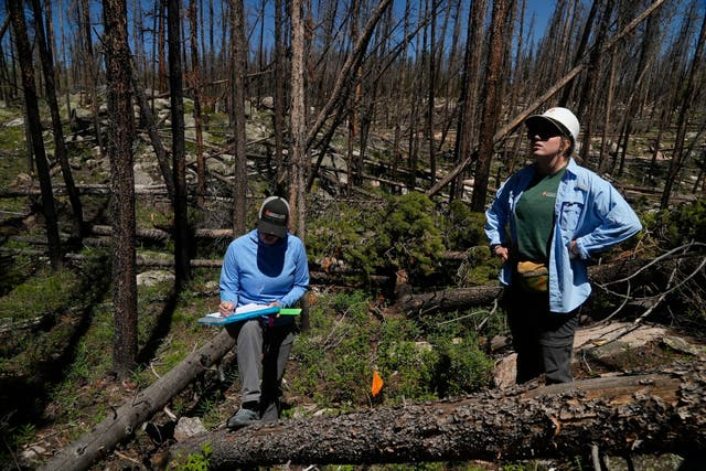 EEUU-INCENDIOS FORESTALES-BOSQUES