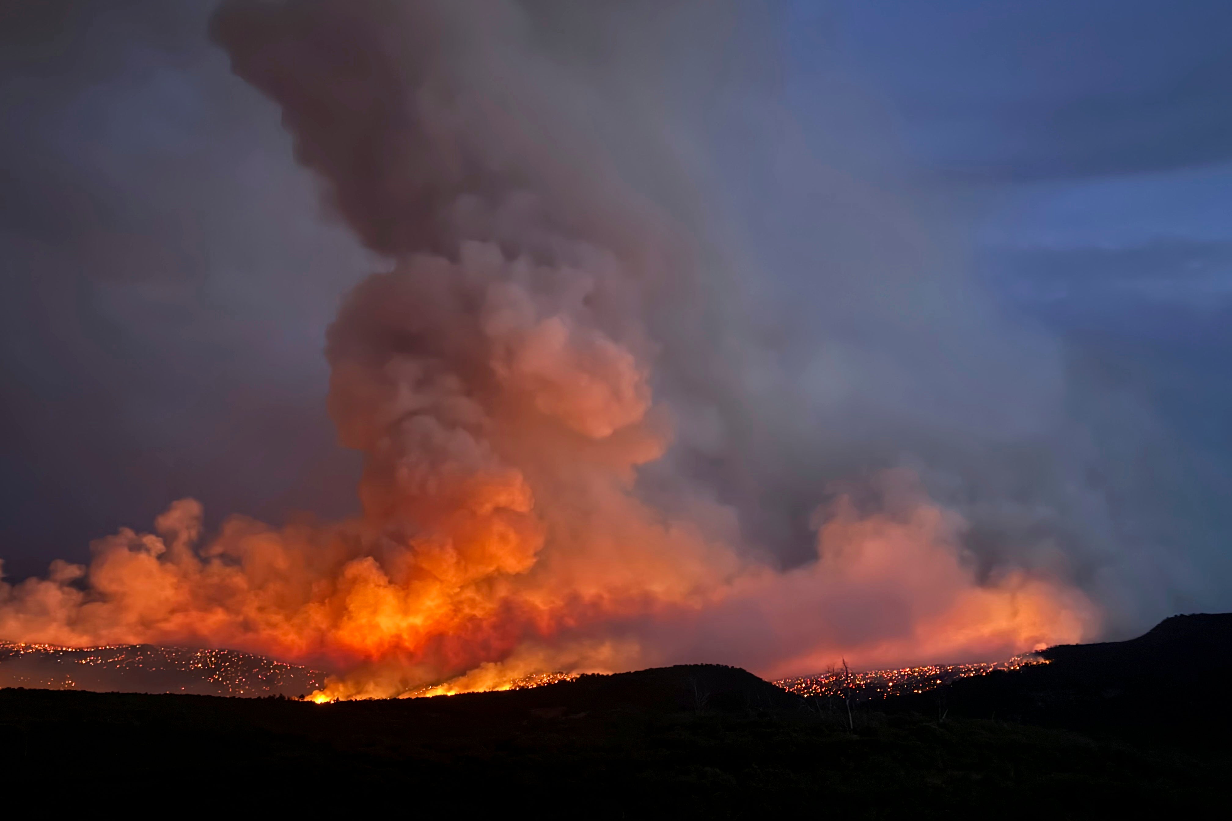 Dog Cremation Wildfire