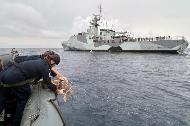 One of the six rare loggerhead turtles which was found by the crew of a Royal Navy warship after washing up on UK shores being released and dropped back into the Atlantic by the crew of the Portsmouth-based patrol vessel HMS Medway (Royal Navy/PA)