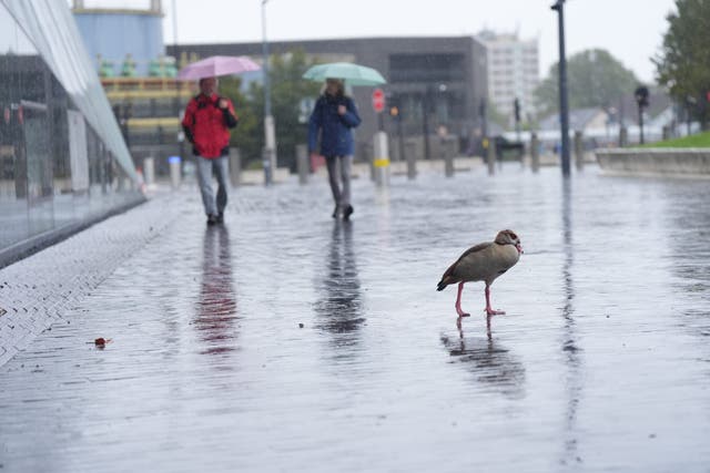 <p>UK Weather forecast </p>