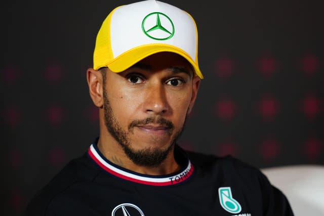 <p>Lewis Hamilton has spoken passionately about F1 hosting a race in Africa </p>