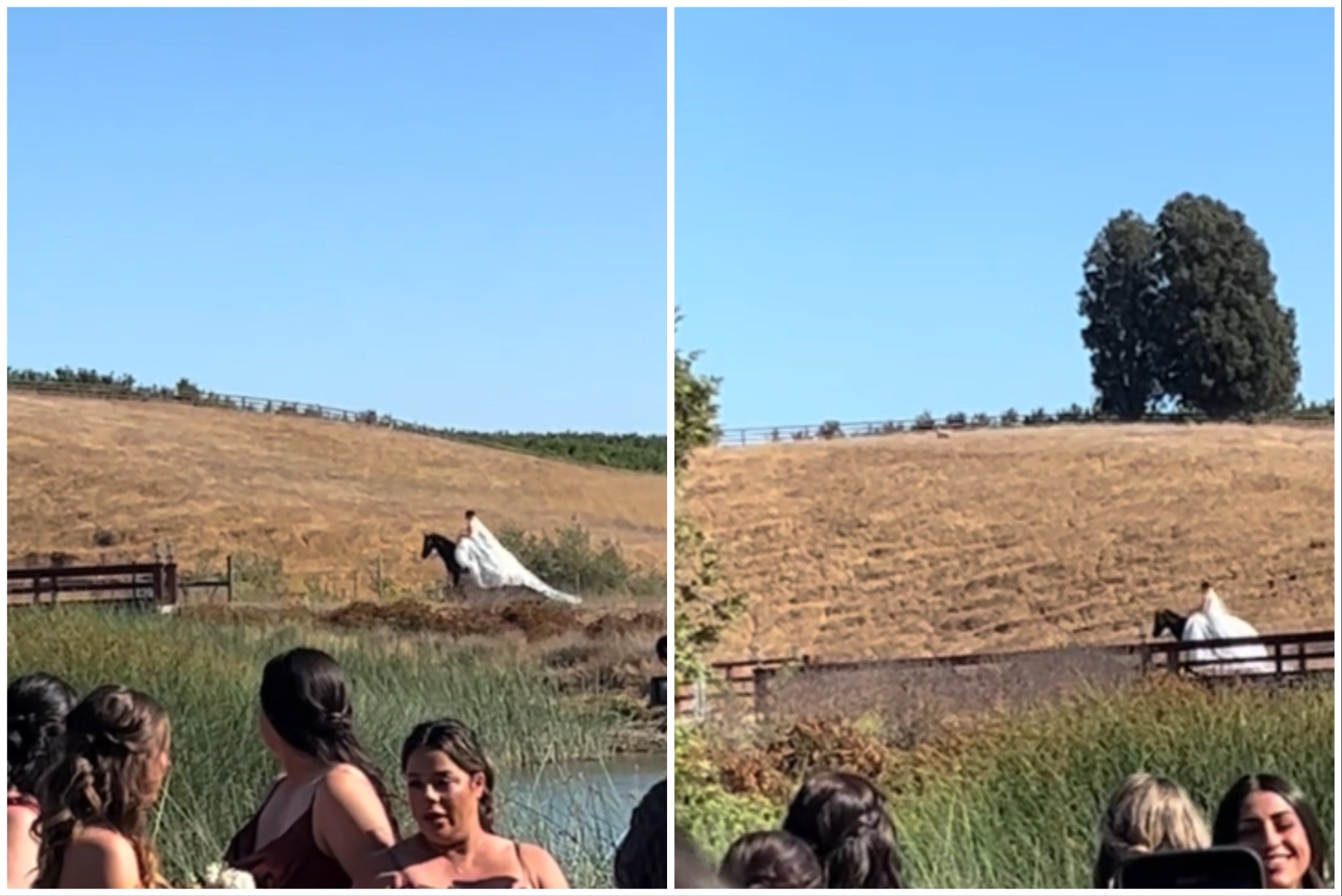 A bride’s family cheered as she made a dramatic entrance on horseback