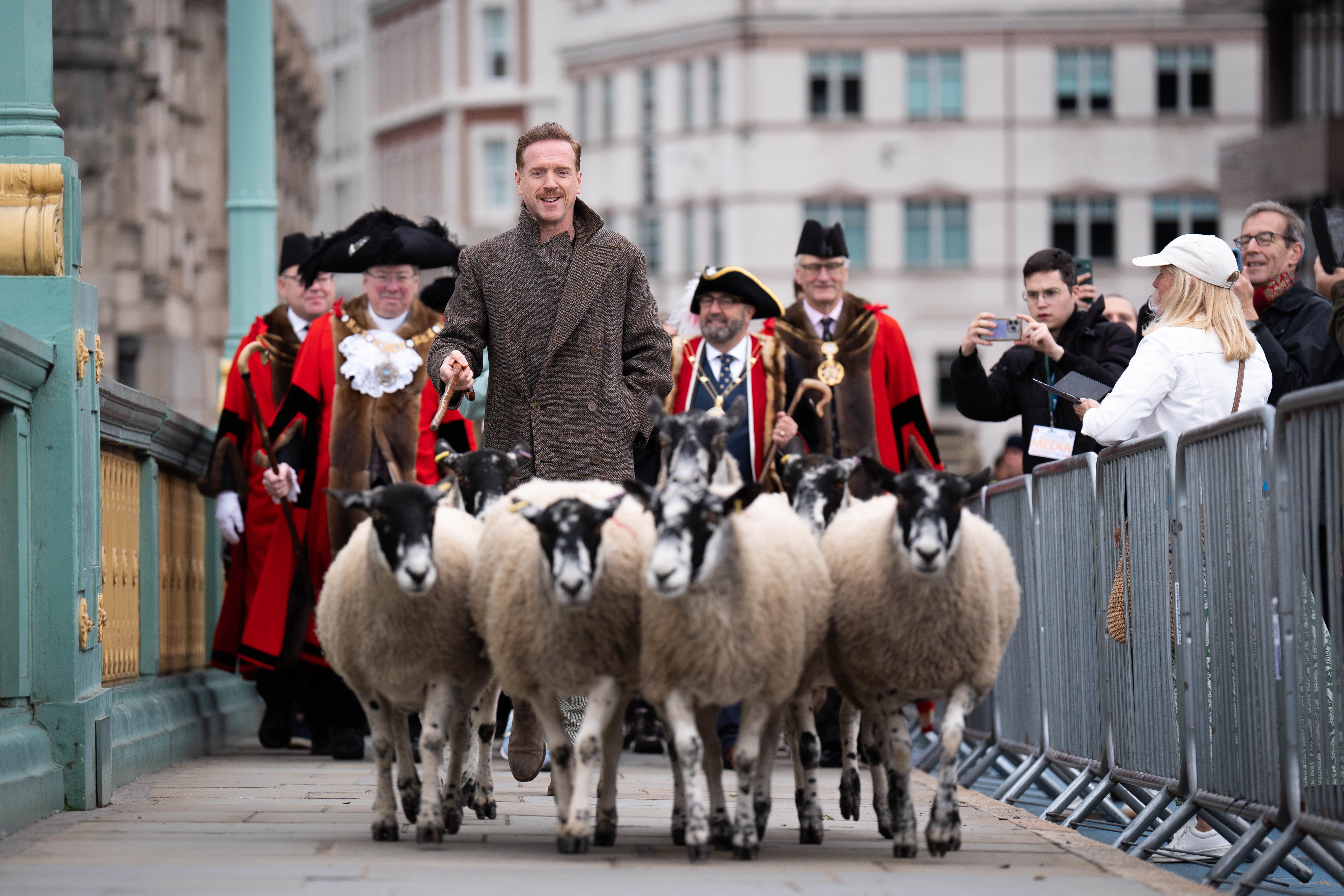 Damian Lewis drives sheep over Southwark Bridge, London, in the 11th London Sheep Drive (James Manning/PA)