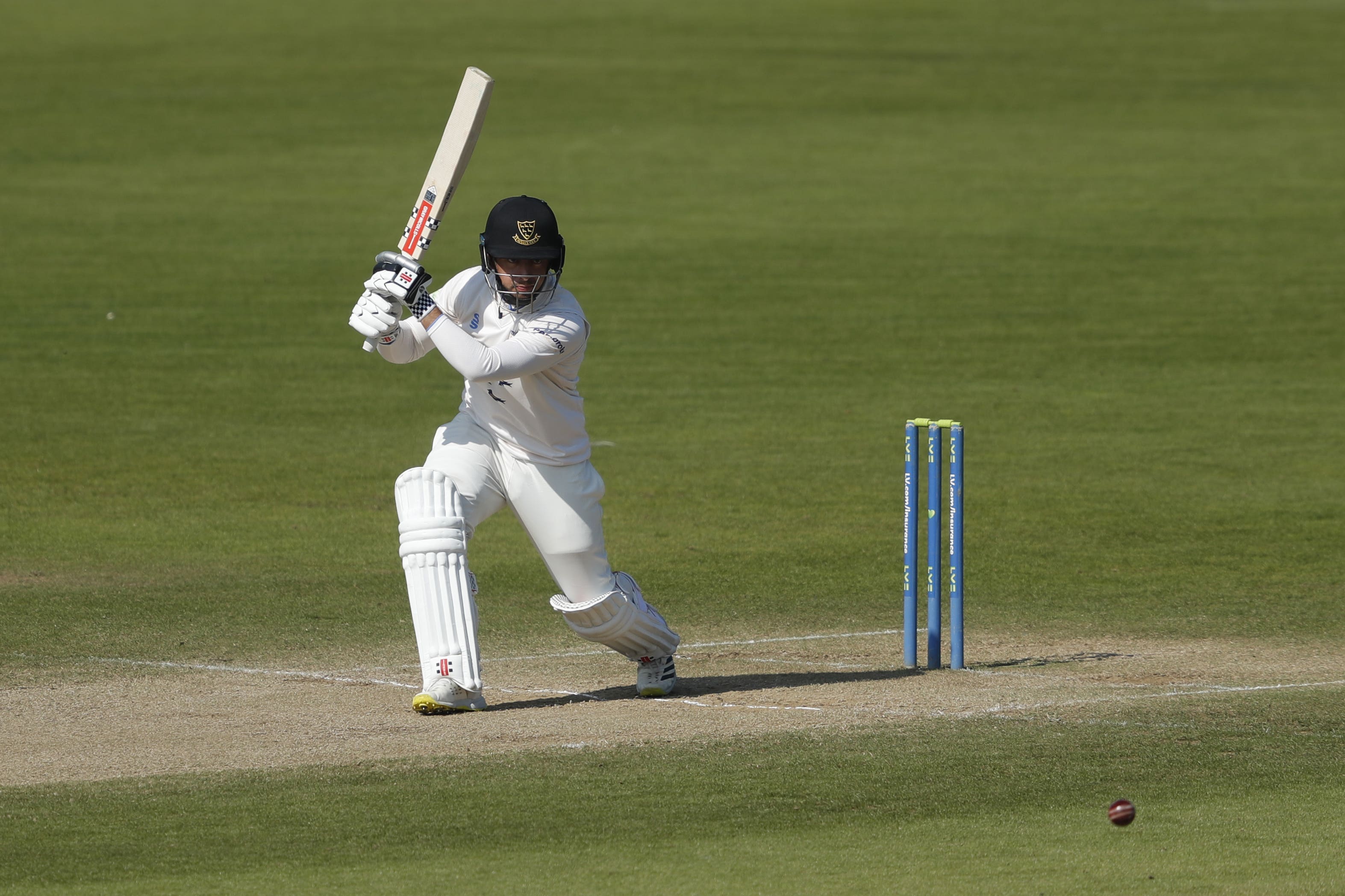 Tom Haines made his third century of the season as Sussex were crowned Division Two champions (Will Matthews/PA)