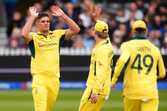 <p>Aaron Hardie, left, celebrates a wicket for Australia </p>