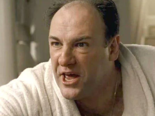 James Gandolfini as Tony Soprano