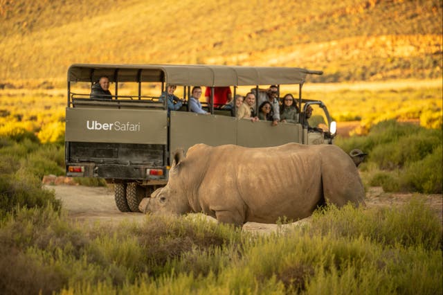 <p>Uber Safari will offer passengers the chance to see the ‘big five’ animals </p>