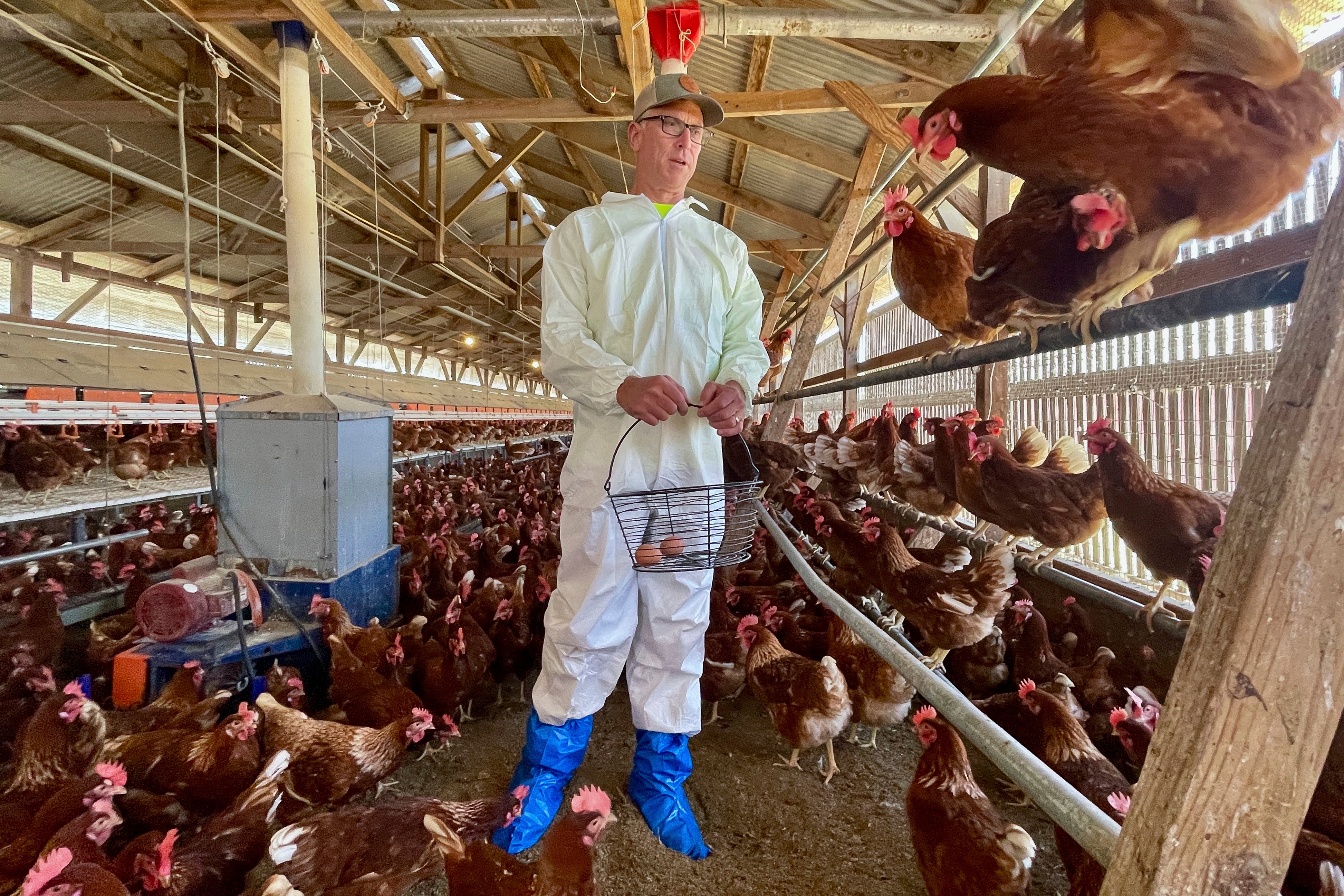 California Farming Ballot Measure