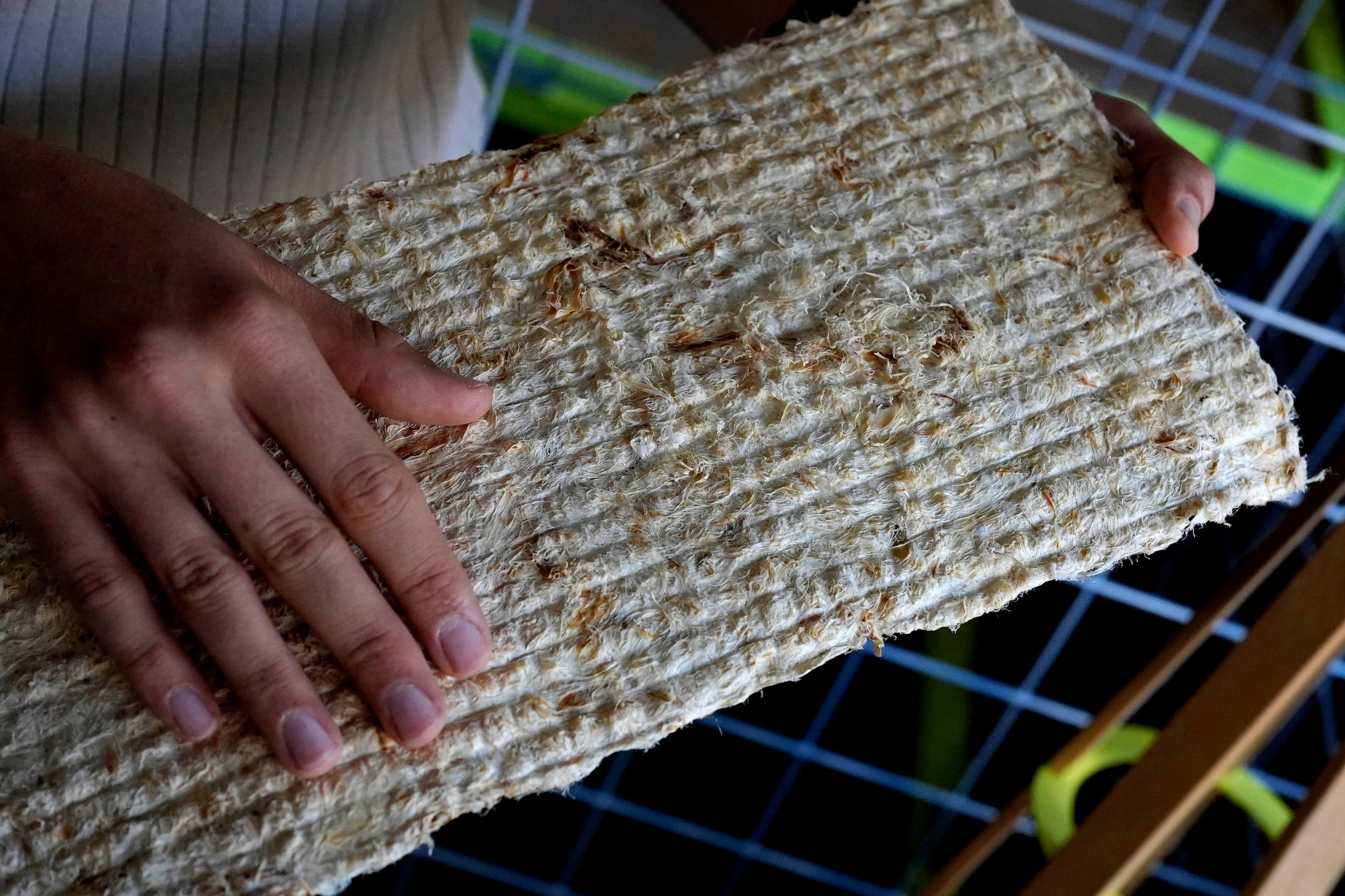 Climate Germany Hops Waste