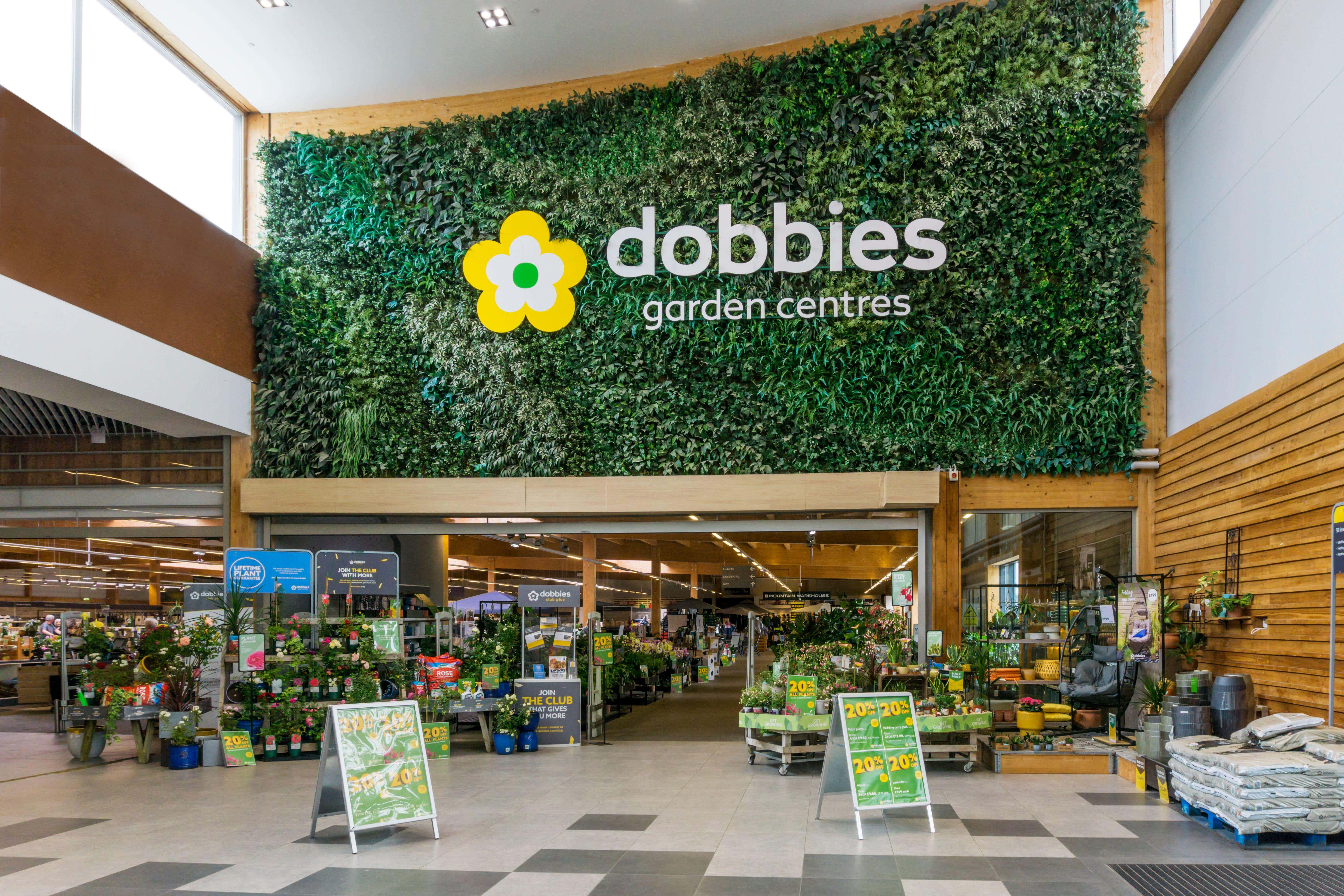 The entrance to Dobbies Garden Centre in the Hardwick Road Tesco store, King’s Lynn. The garden centre business is set to shut 17 locations as part of a restructuring plan (Alamy/PA)