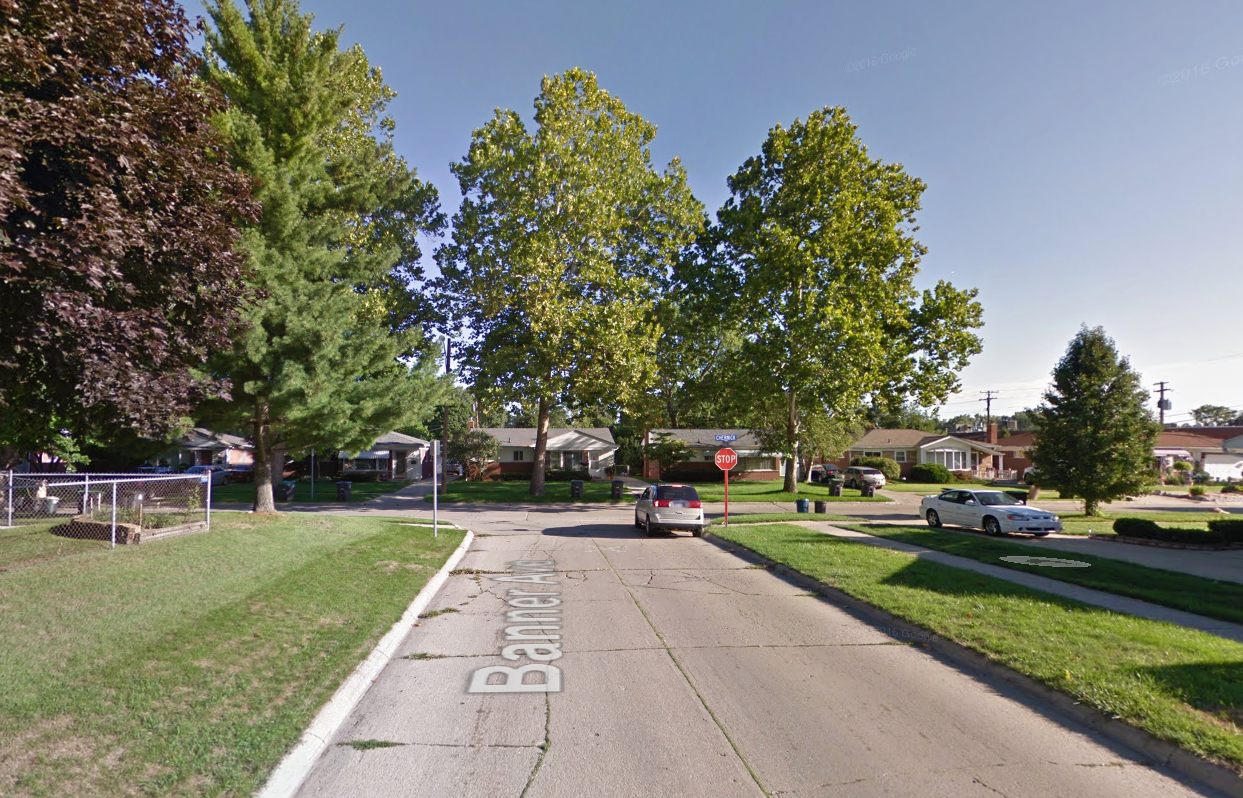 The incident unfolded at a home in Taylor, Michigan, (pictured the street) on Saturday when the teen was babysitting her younger sister