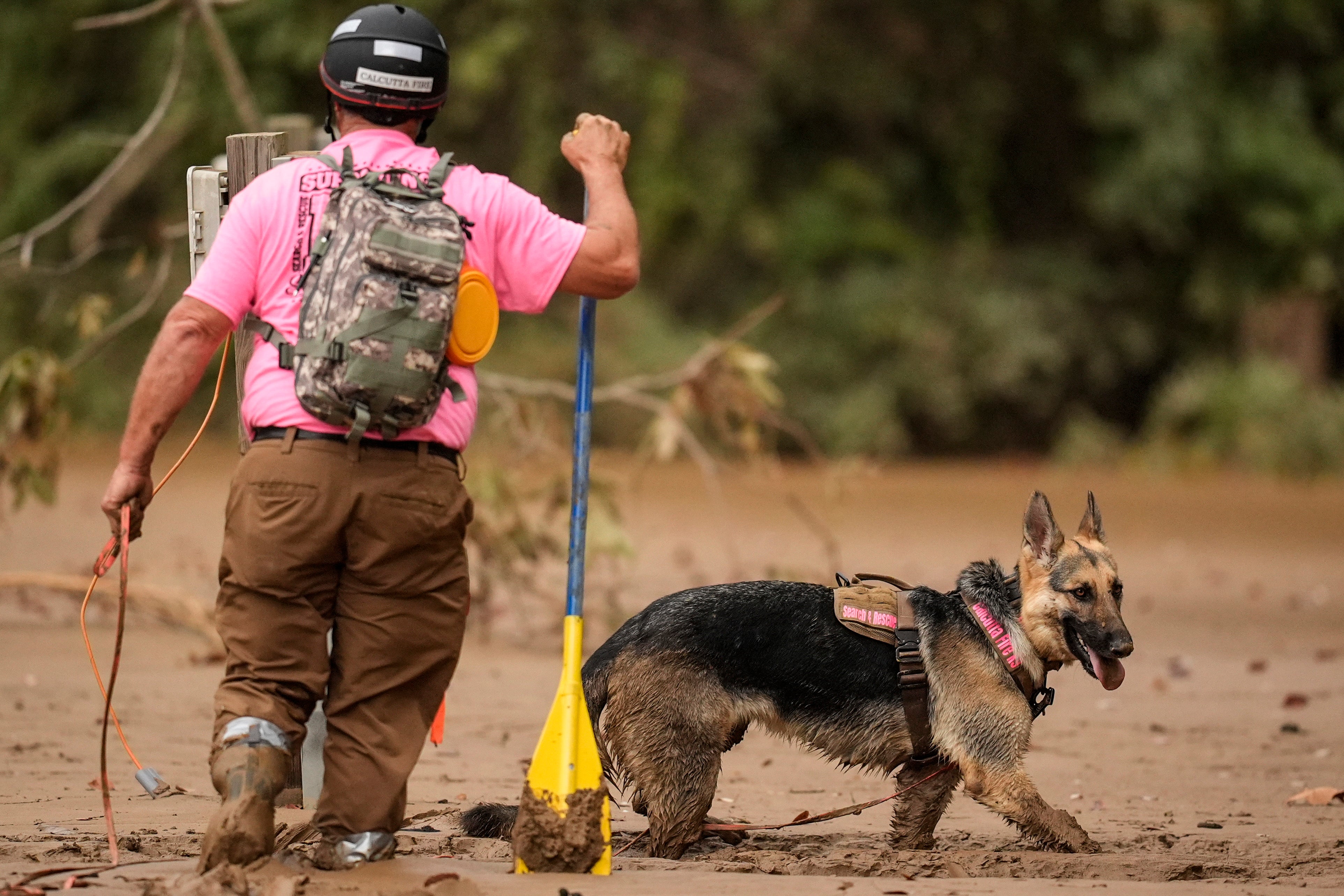 A search and rescue dog and handler searches for victims through thick mud in North Carolina on Tuesday after Hurricane Helene.