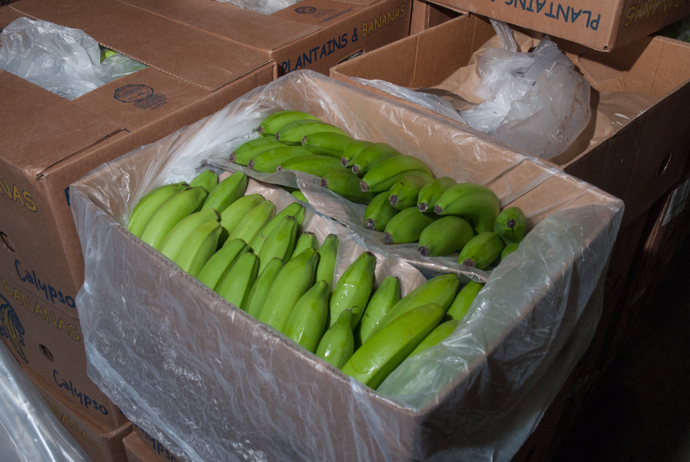 Fruit trader James Stevenson, 59, was using crates of bananas to attempt to smuggle cocaine into the UK from Ecuador