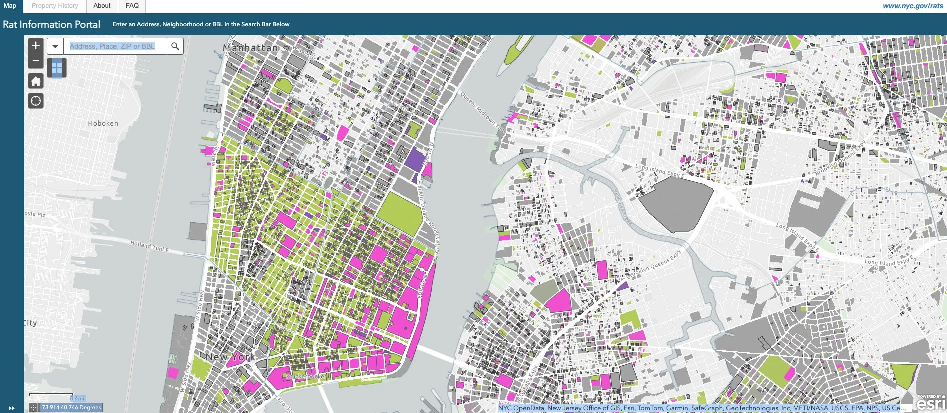 A screenshot from New York’s Rat Information Portal shows areas in the Lower East Side that had rat activity at the last time of inspection. Those areas are pink-colored, while those in green passed Health Department inspections.