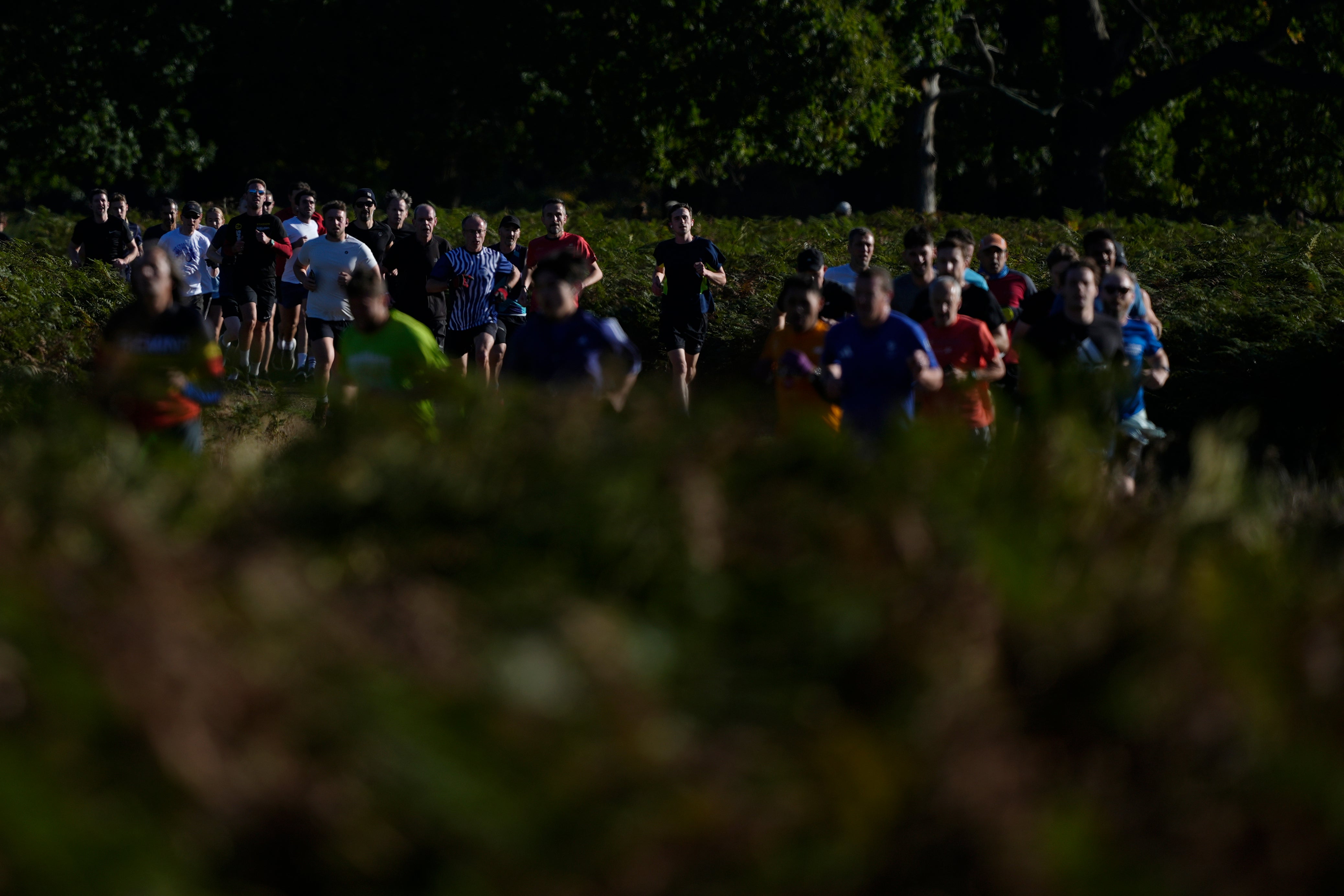 Britain Parkrun Turns 20
