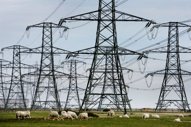 National Grid owns the high voltage electricity transmission system in England and Wales (Gareth Fuller/PA)