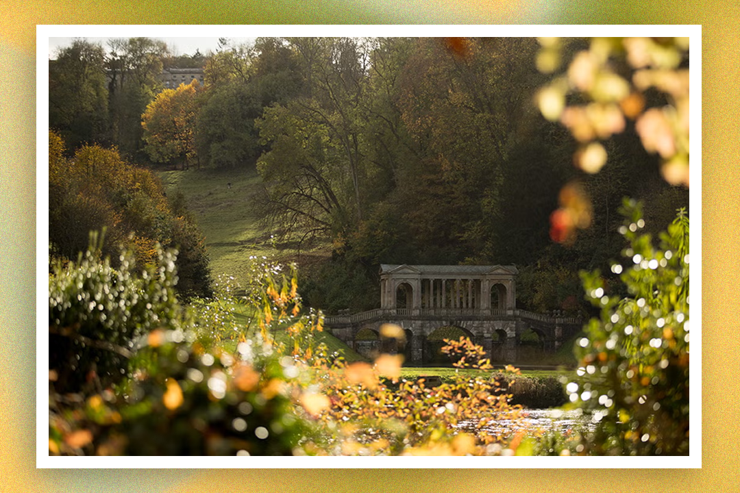 The National Trust is also offering a discount of 25 per cent off senior memberships