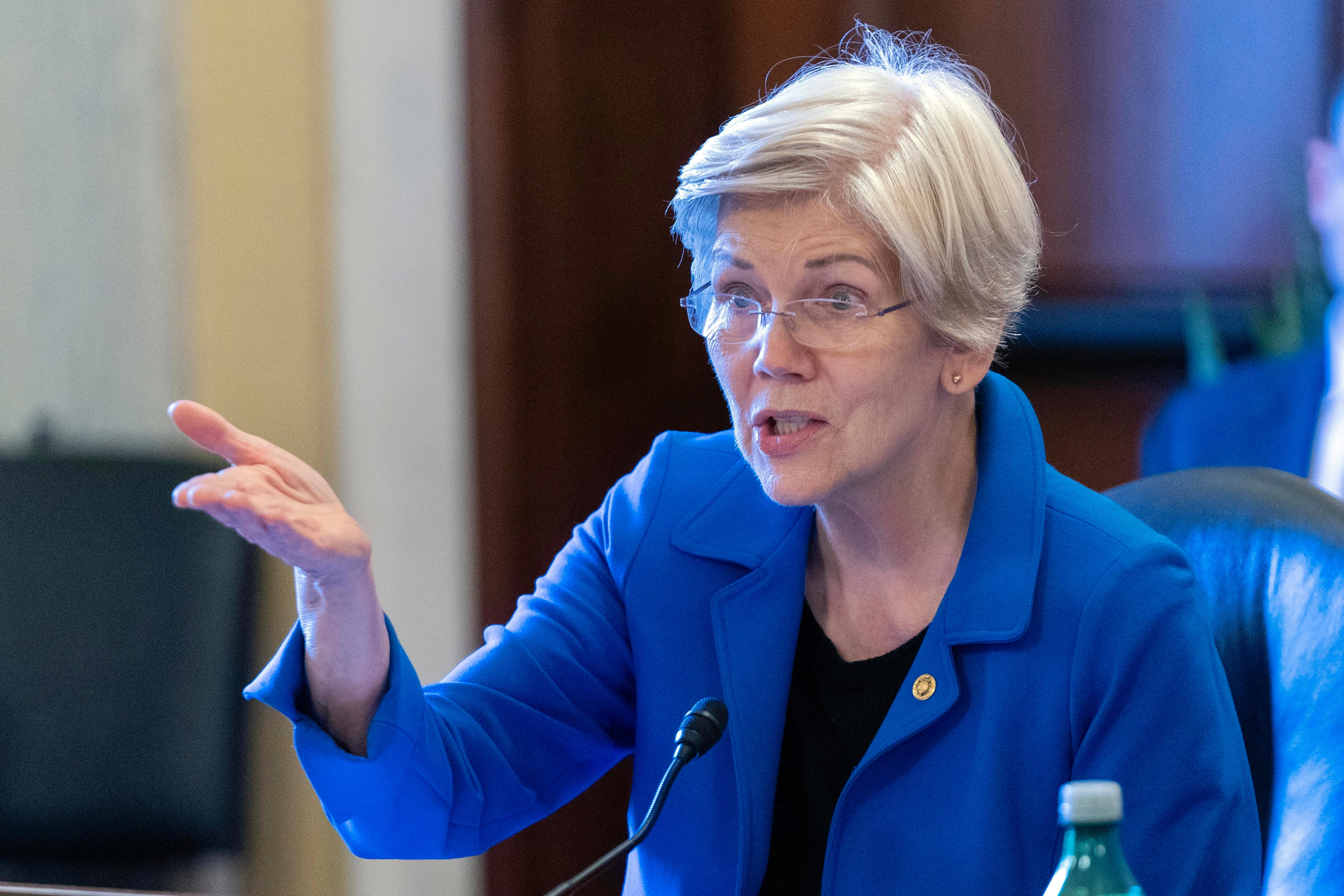 Elizabeth Warren has taken a swipe at Donald Trump’s selection of Elon Musk and Vivek Ramaswamy to head up DOGE