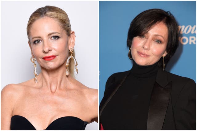 <p>Sarah Michelle Gellar and Shannen Doherty</p>