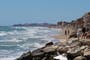 Beaches closed after discovery of venomous sea creature