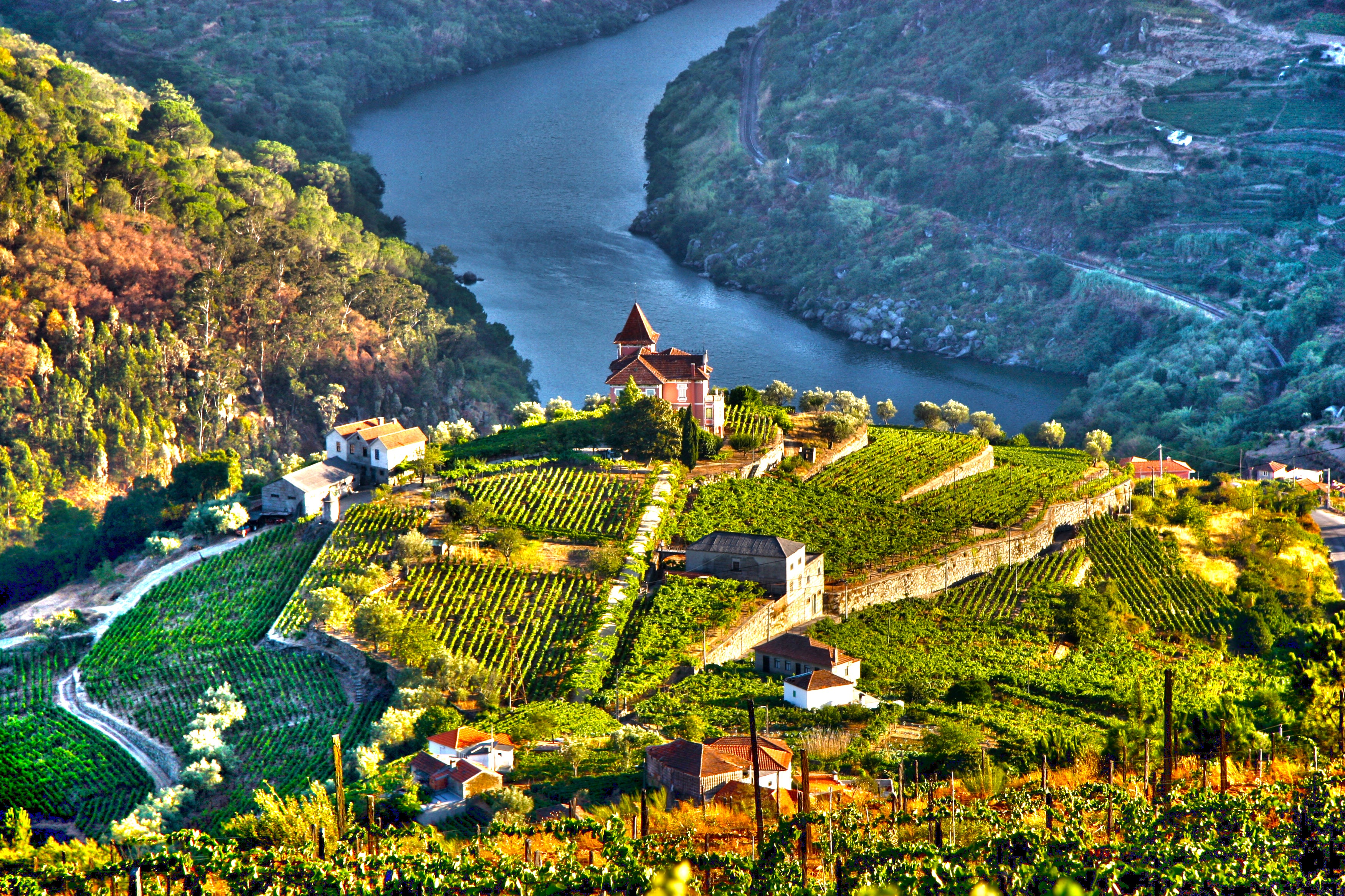 The rolling vineyards of Portugal’s Douro Valley