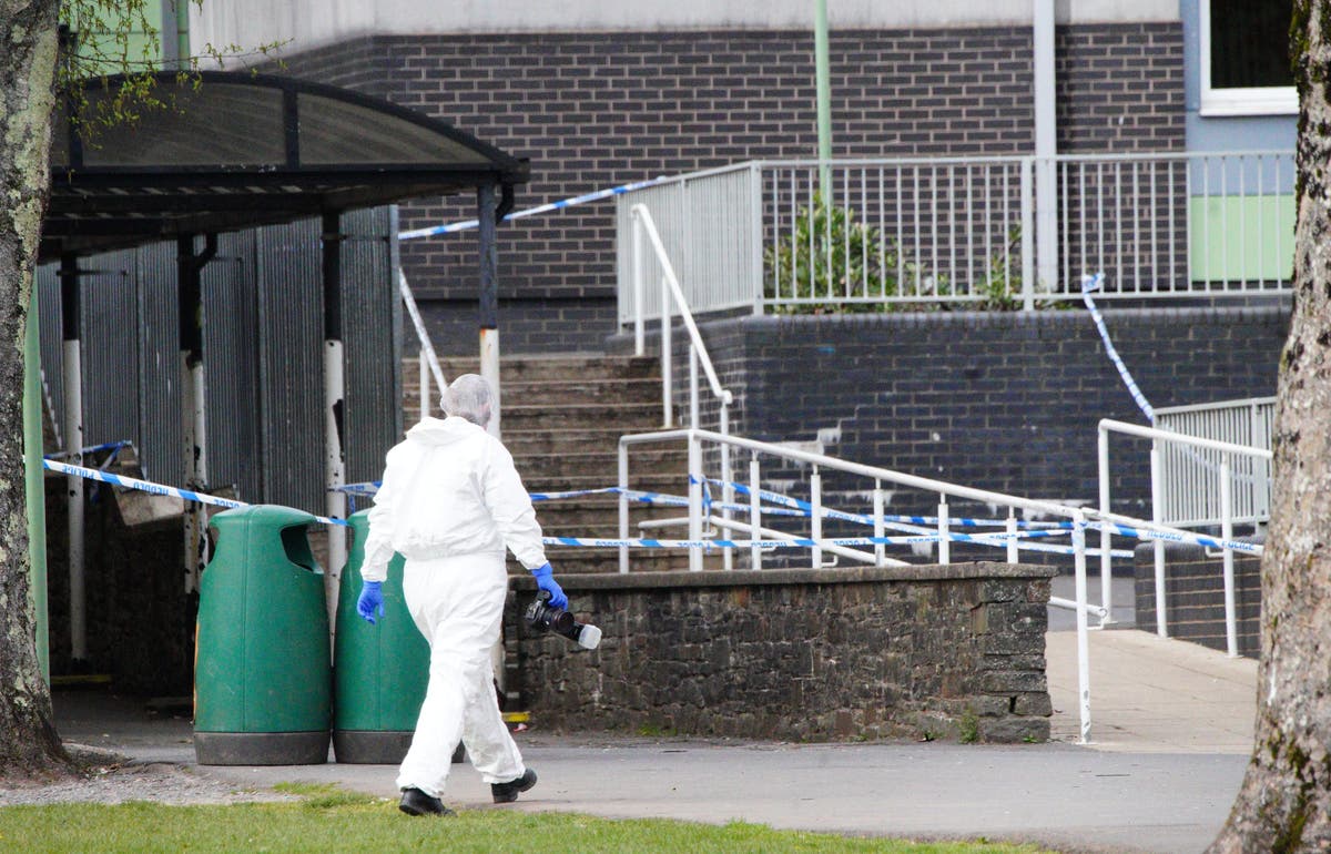 Girl shouts ‘I’m going to kill you’ during stabbing attack at Ammanford school, jury hears