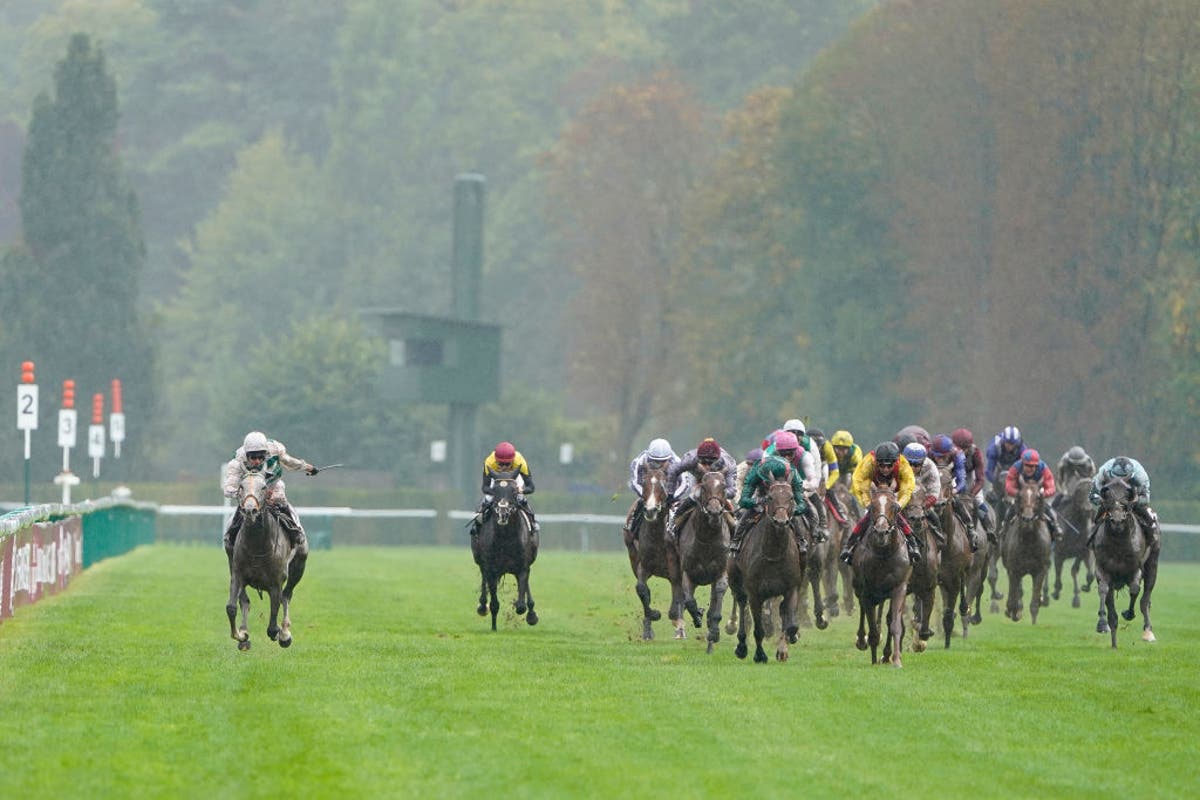 Prix de l’Arc de Triomphe tips: Predictions, best bets and horse racing odds