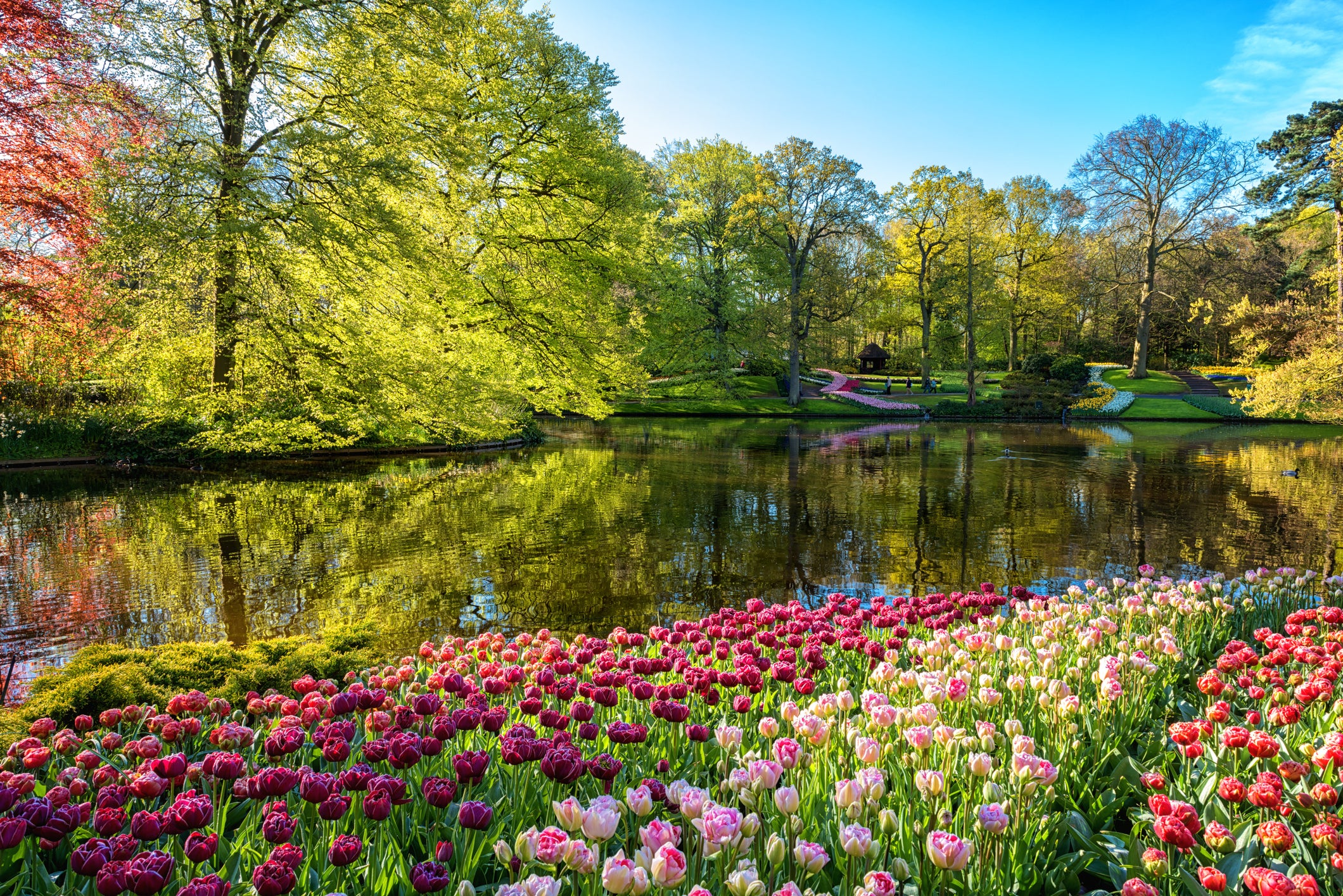 Step into spring at the Keukenhof gardens in the Netherlands