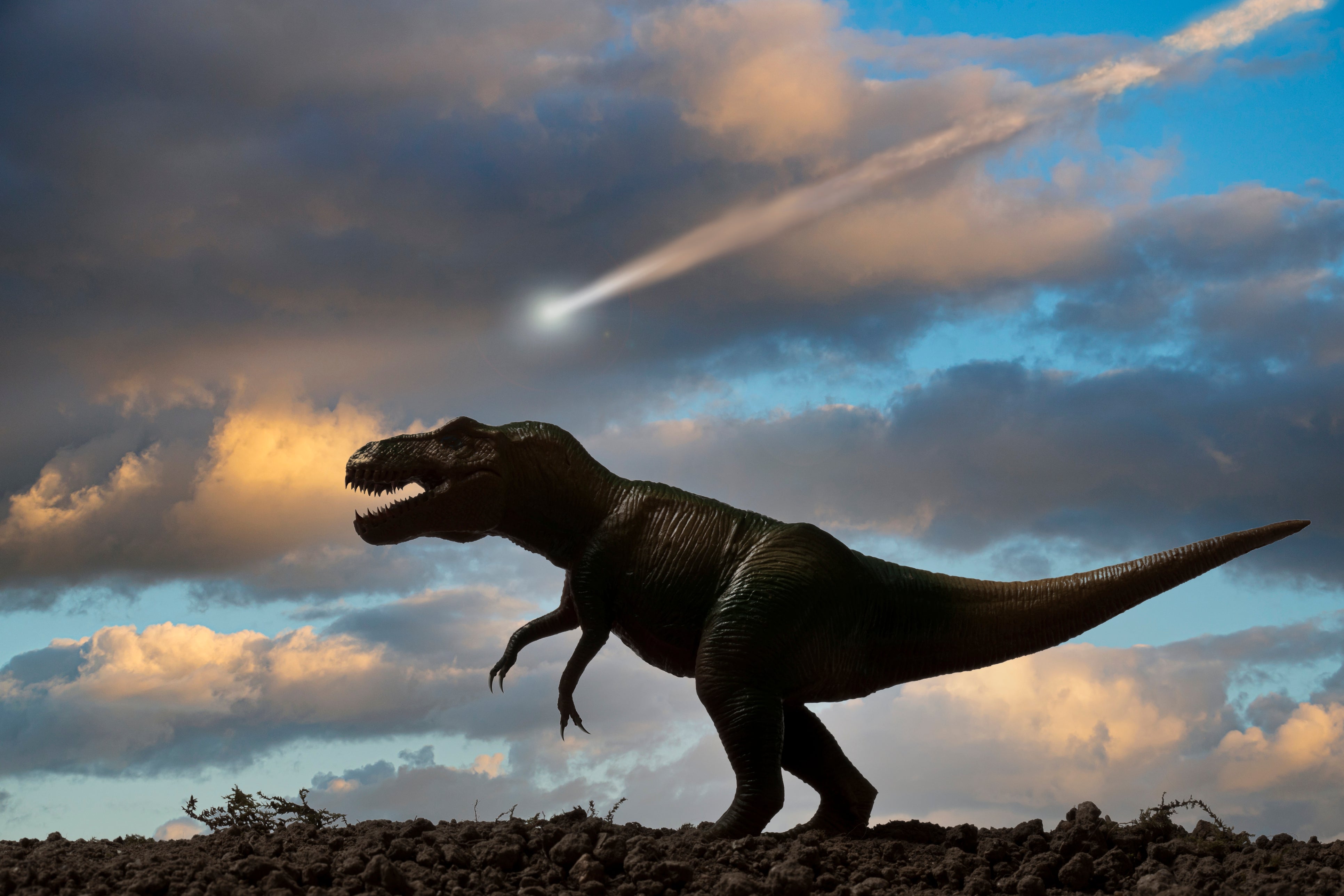 Una representación fantástica de un Tyrannosaurus Rex con un asteroide cayendo del cielo al fondo.