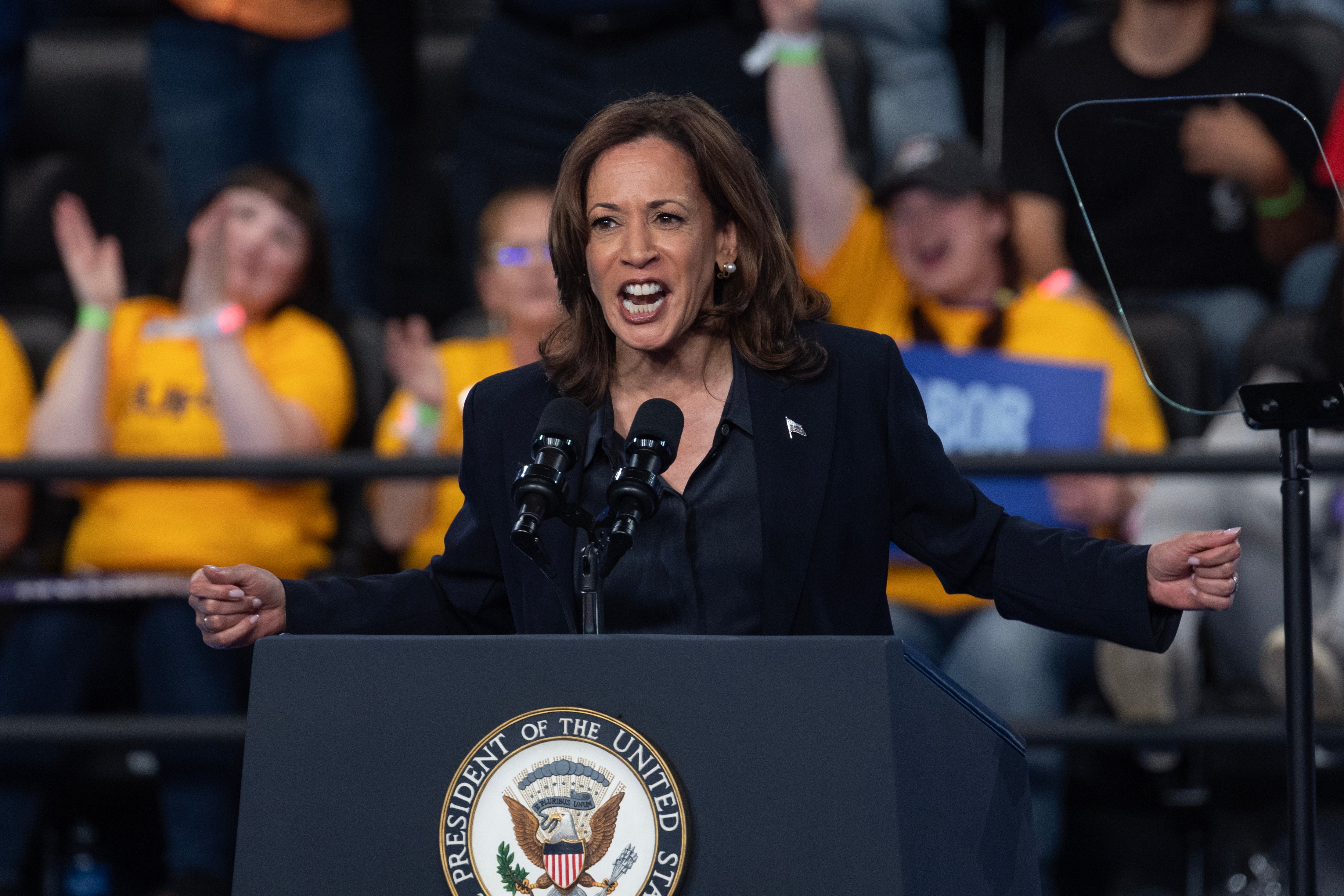 Democratic presidential nominee Vice President Kamala Harris speaks at a rally at the Dort Financial Center in Flint, Michigan