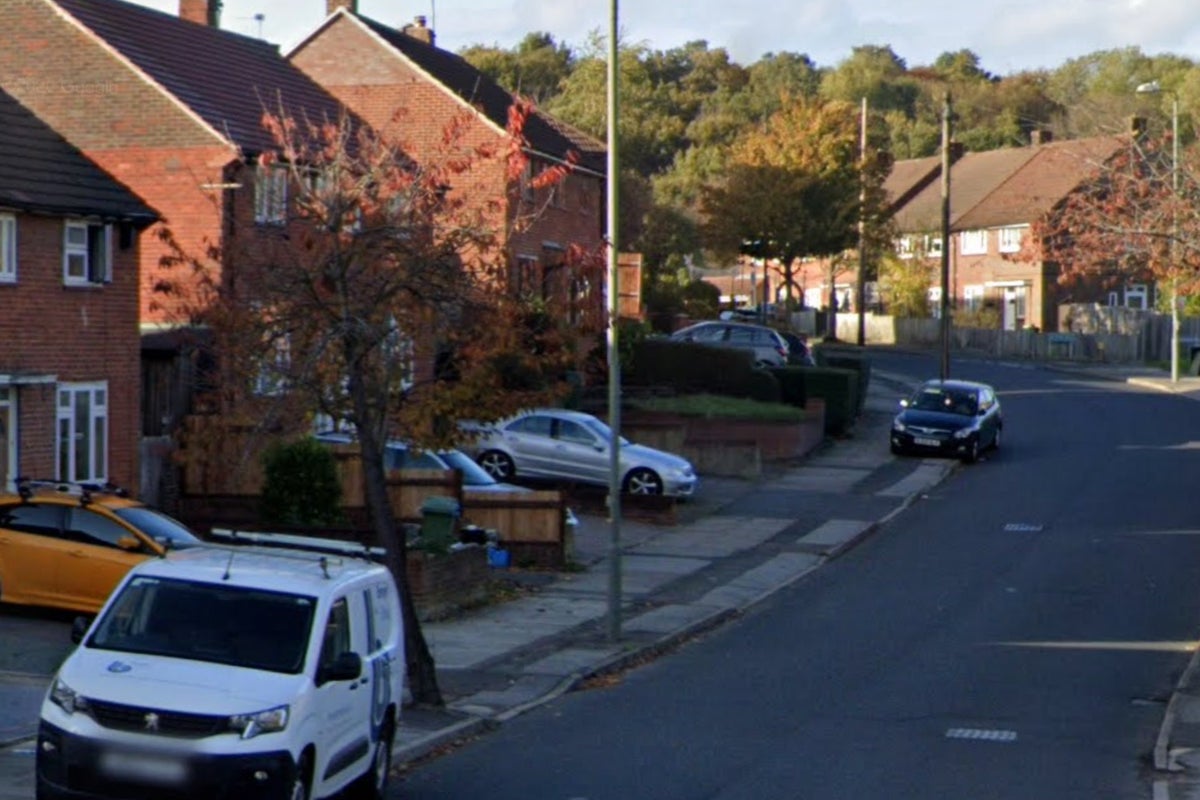 Two children, 4 and 6, rushed to hospital after being attacked bv four dogs in south London