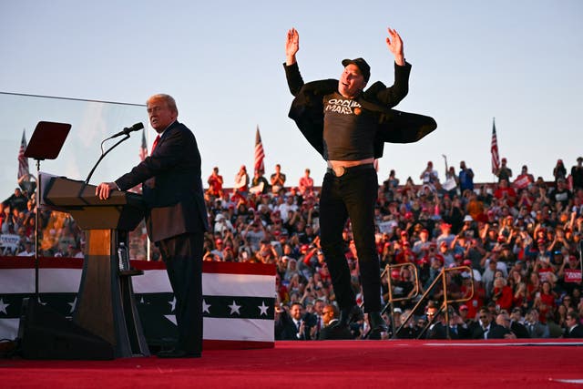 <p>Elon Musk fotografiado junto a Donald Trump en el escenario de un mitin en Butler, Pensilvania, EE. UU., el 5 de octubre </p>
