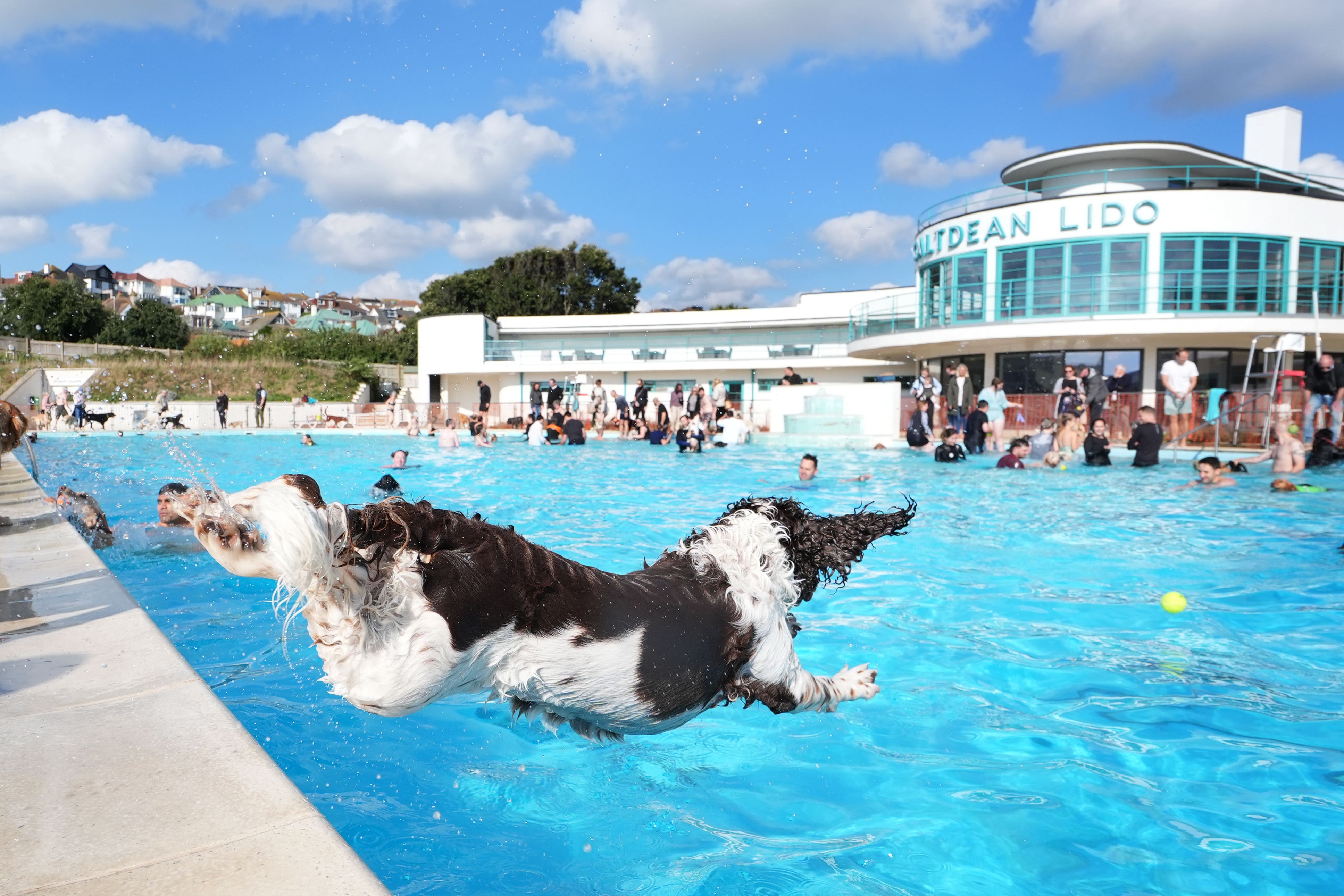 A dog leaps in to the water during a swim at the Saltdean Lido in Saltdean, Brighton during a ‘Dogtember’ swimming event (Gareth Fuller/PA)