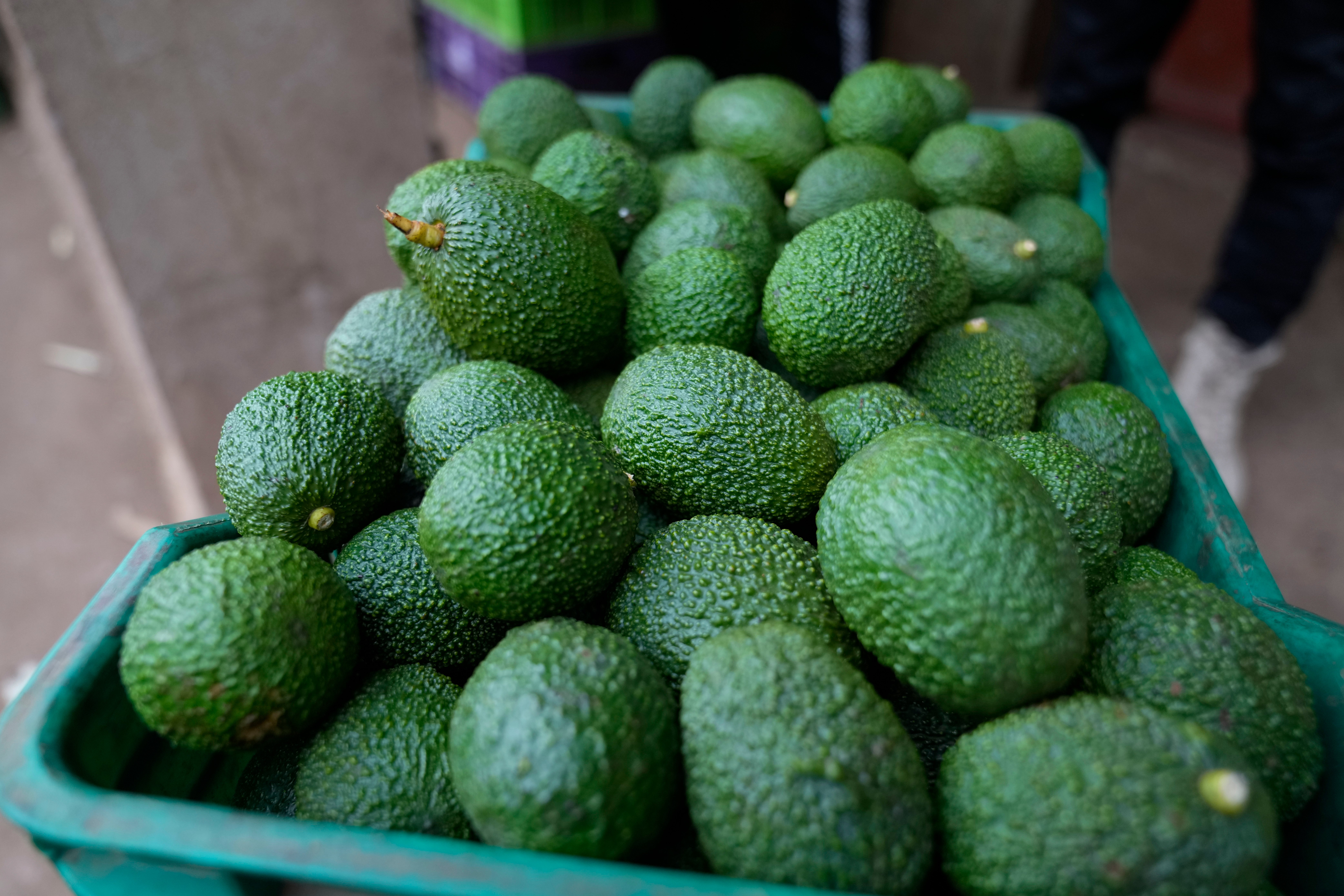 Burundi Avocado Country