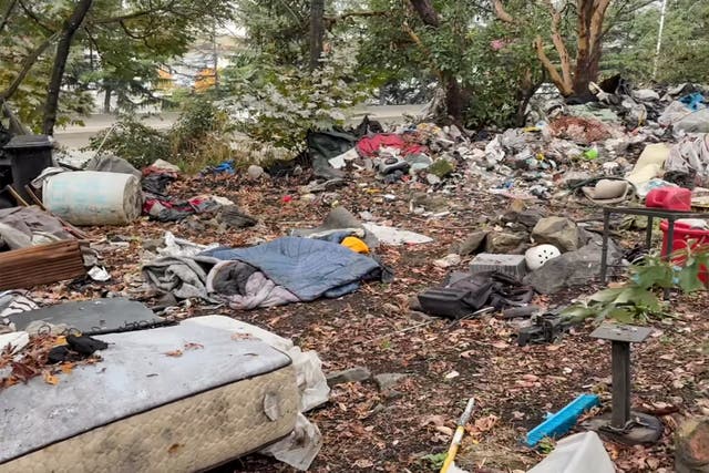 <p>Shannon Marie Caslin Reeder’s body was found among the trash in East Duwamish Greenbelt while volunteers were cleaning up the area (pictured) </p>