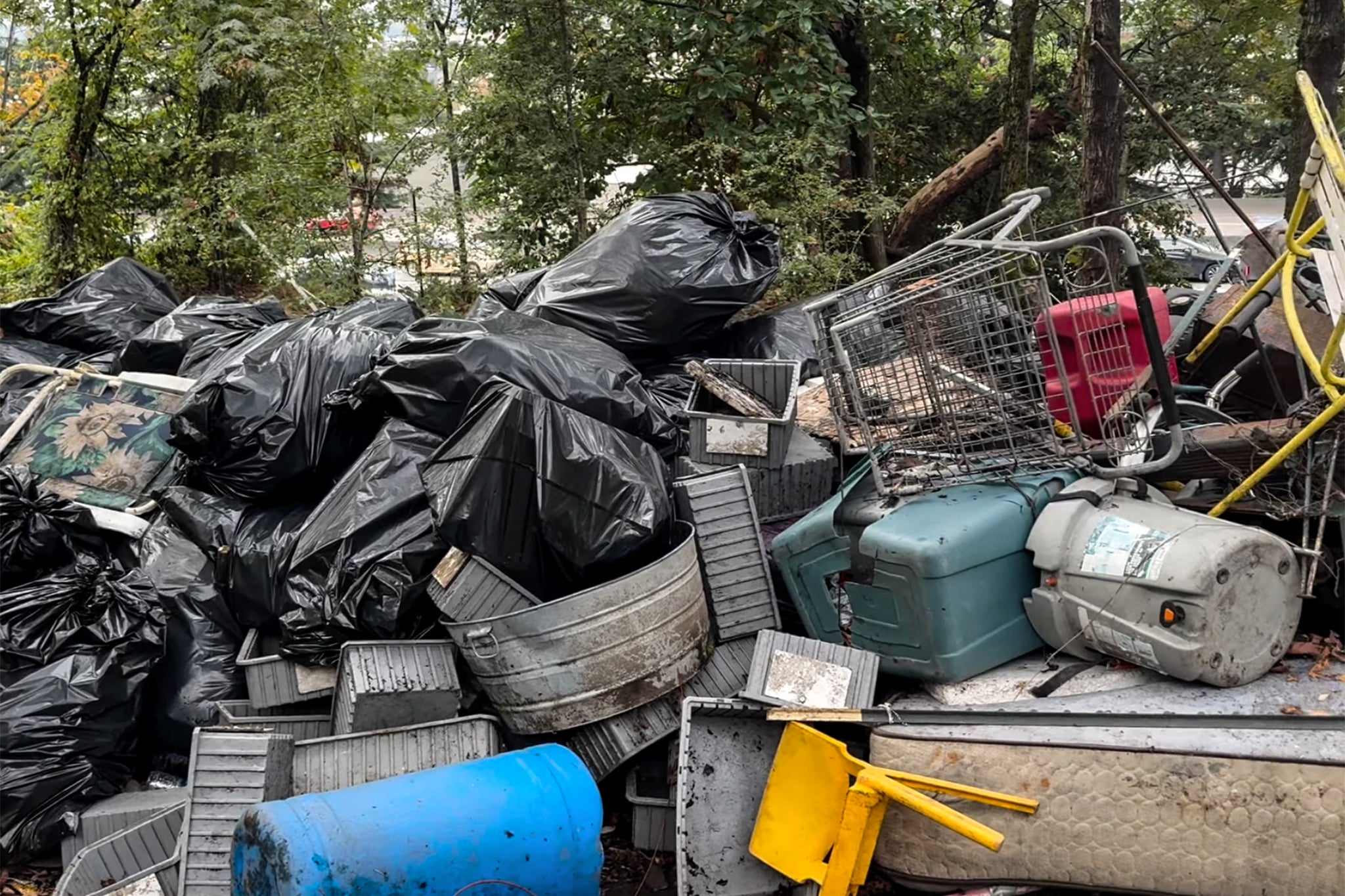 Charity workers and authorities were cleaning up the area (pictured)