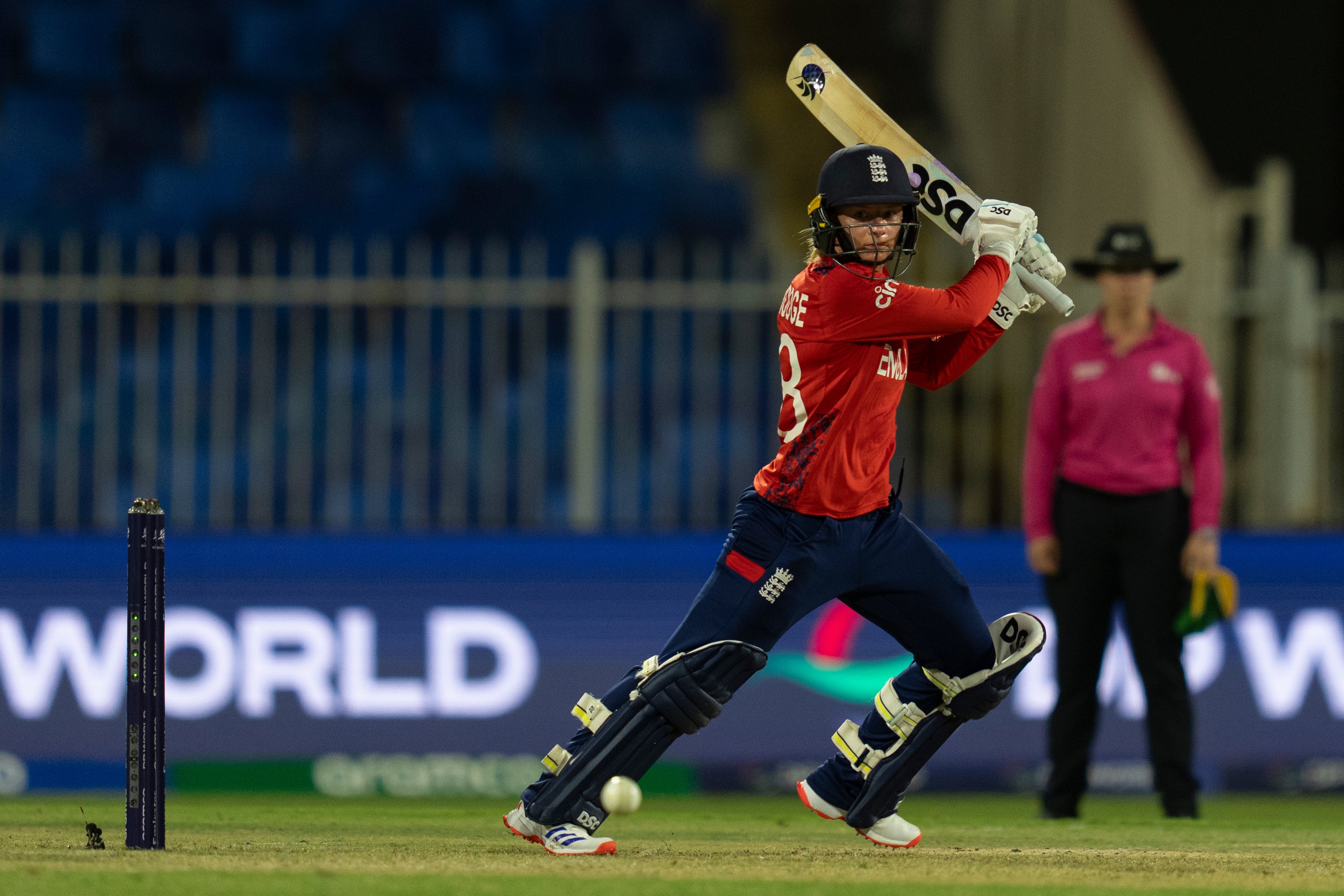 Danni Wyatt and Nat Sciver-Brunt steered England to victory