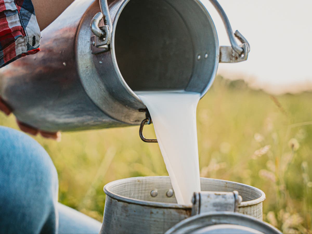 Raw milk resurgence: What’s driving Americans to drink it?