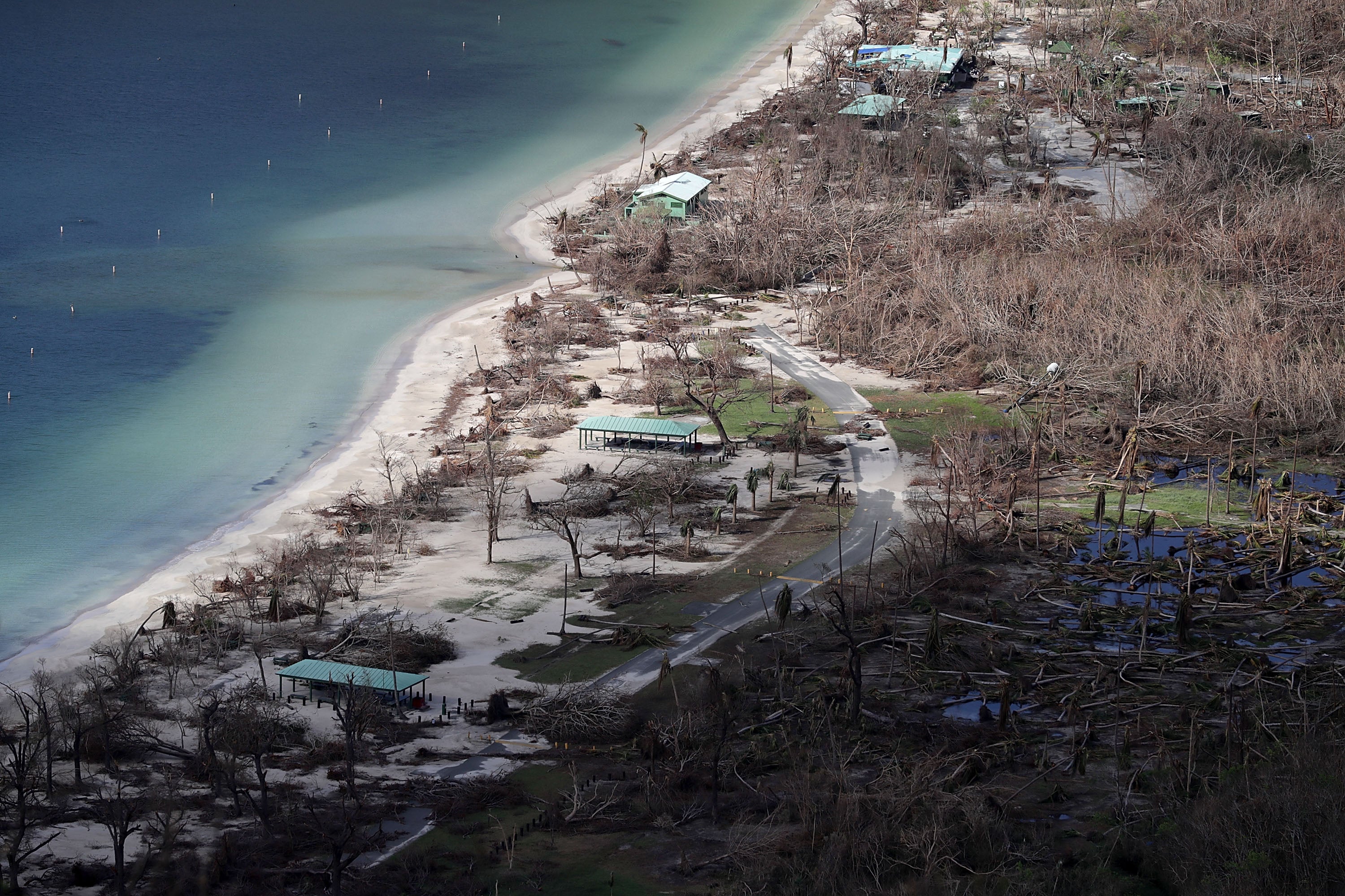 Trees are seen stripped of their leaves in an aerial image taken just over a week after Hurricane Irma made landfall in the US Virgin Islands in September 2017. The storm hit the Leeward Islands as a Category 5 hurricane, with maximum sustained winds that reached 185mph.